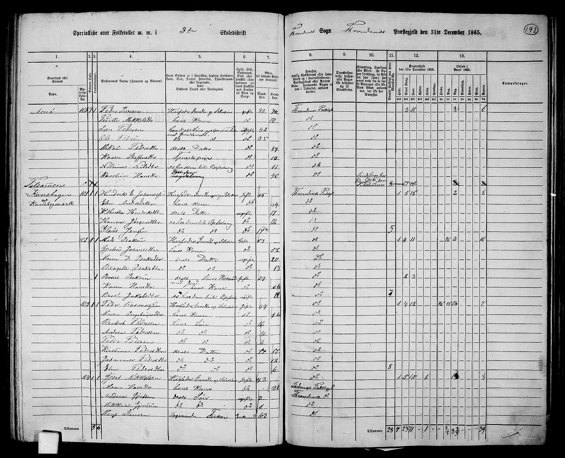 RA, 1865 census for Trondenes, 1865, p. 80
