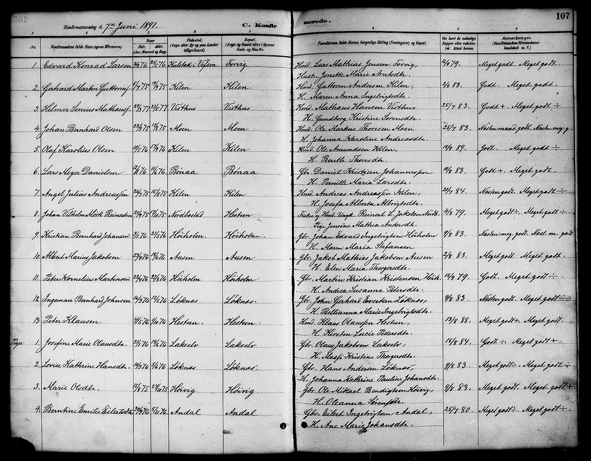 Ministerialprotokoller, klokkerbøker og fødselsregistre - Nordland, AV/SAT-A-1459/819/L0277: Parish register (copy) no. 819C03, 1888-1917, p. 107