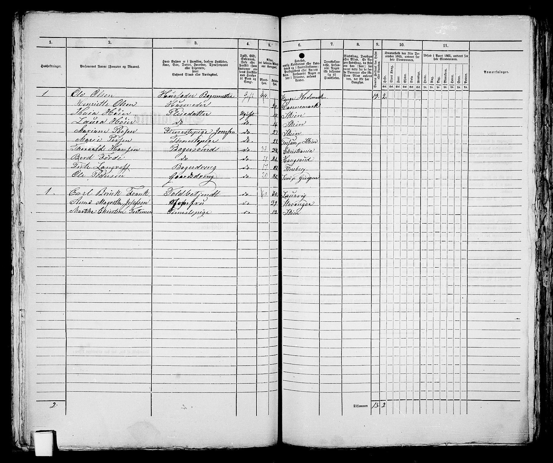 RA, 1865 census for Skien, 1865, p. 573