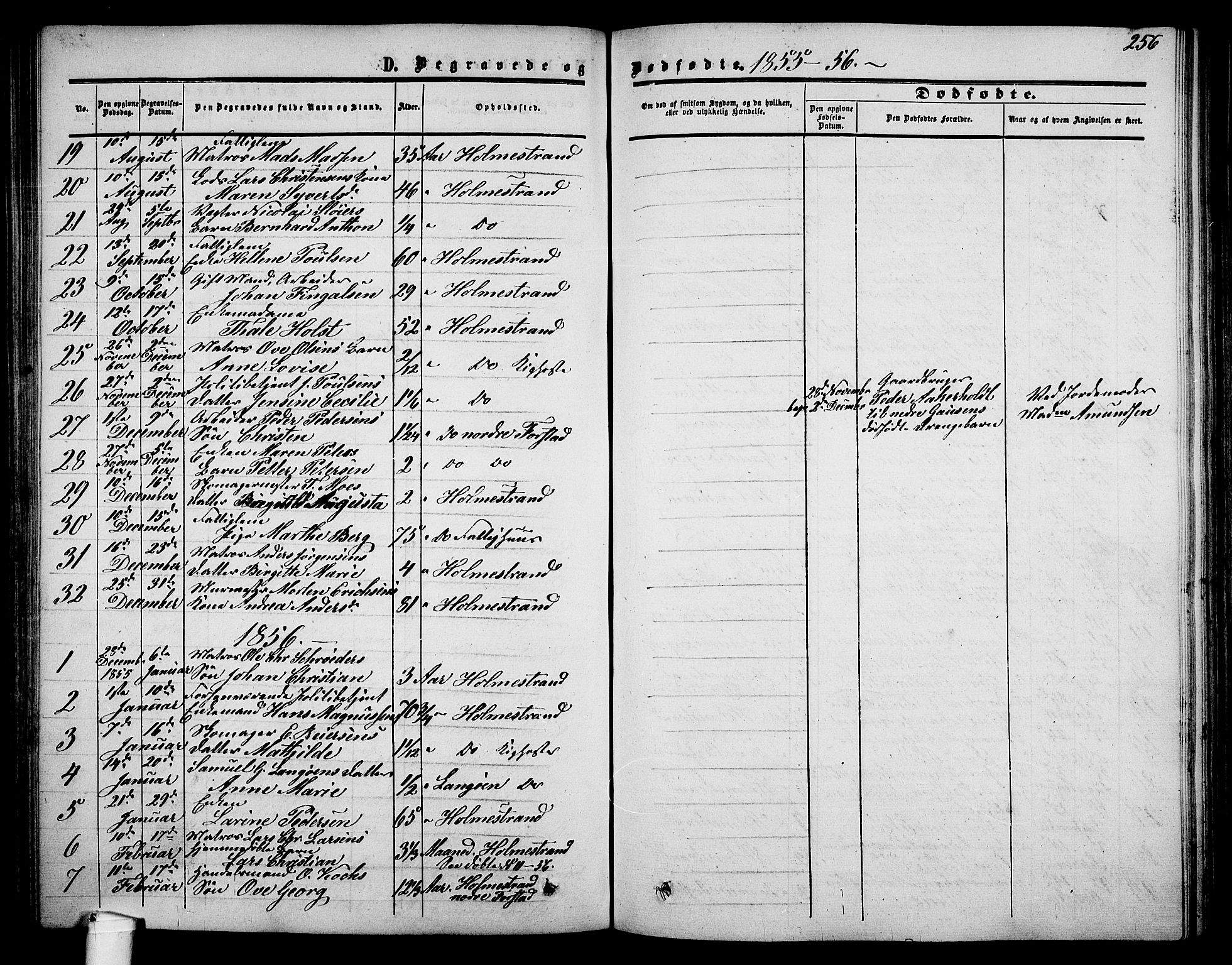 Holmestrand kirkebøker, AV/SAKO-A-346/G/Ga/L0003: Parish register (copy) no. 3, 1849-1874, p. 256