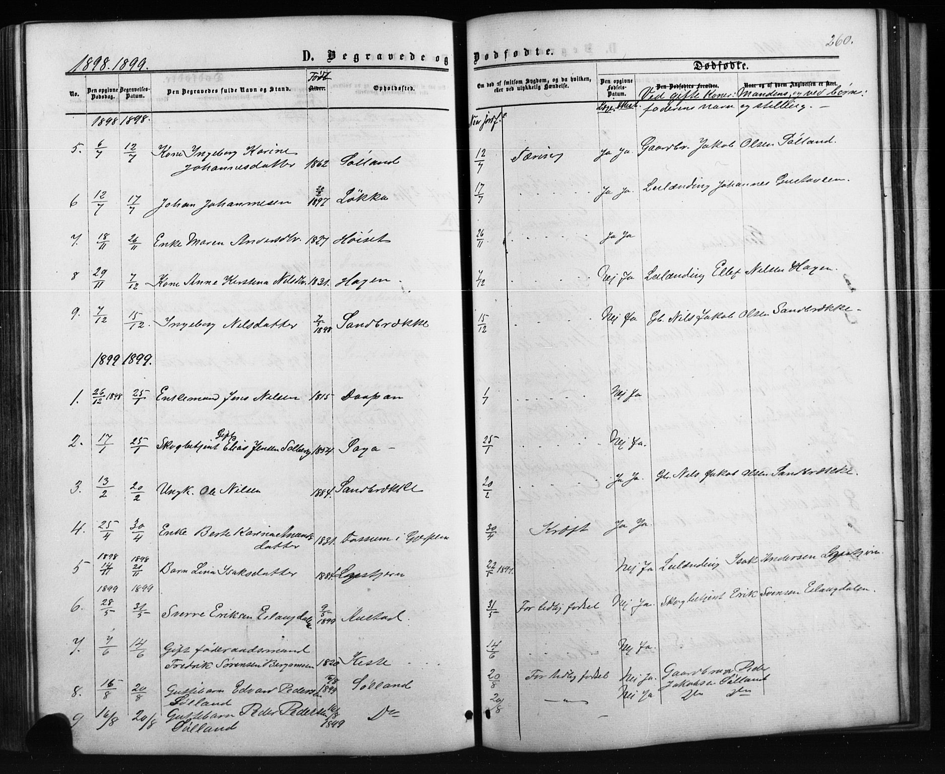 Siljan kirkebøker, AV/SAKO-A-300/G/Ga/L0002: Parish register (copy) no. 2, 1864-1908, p. 260