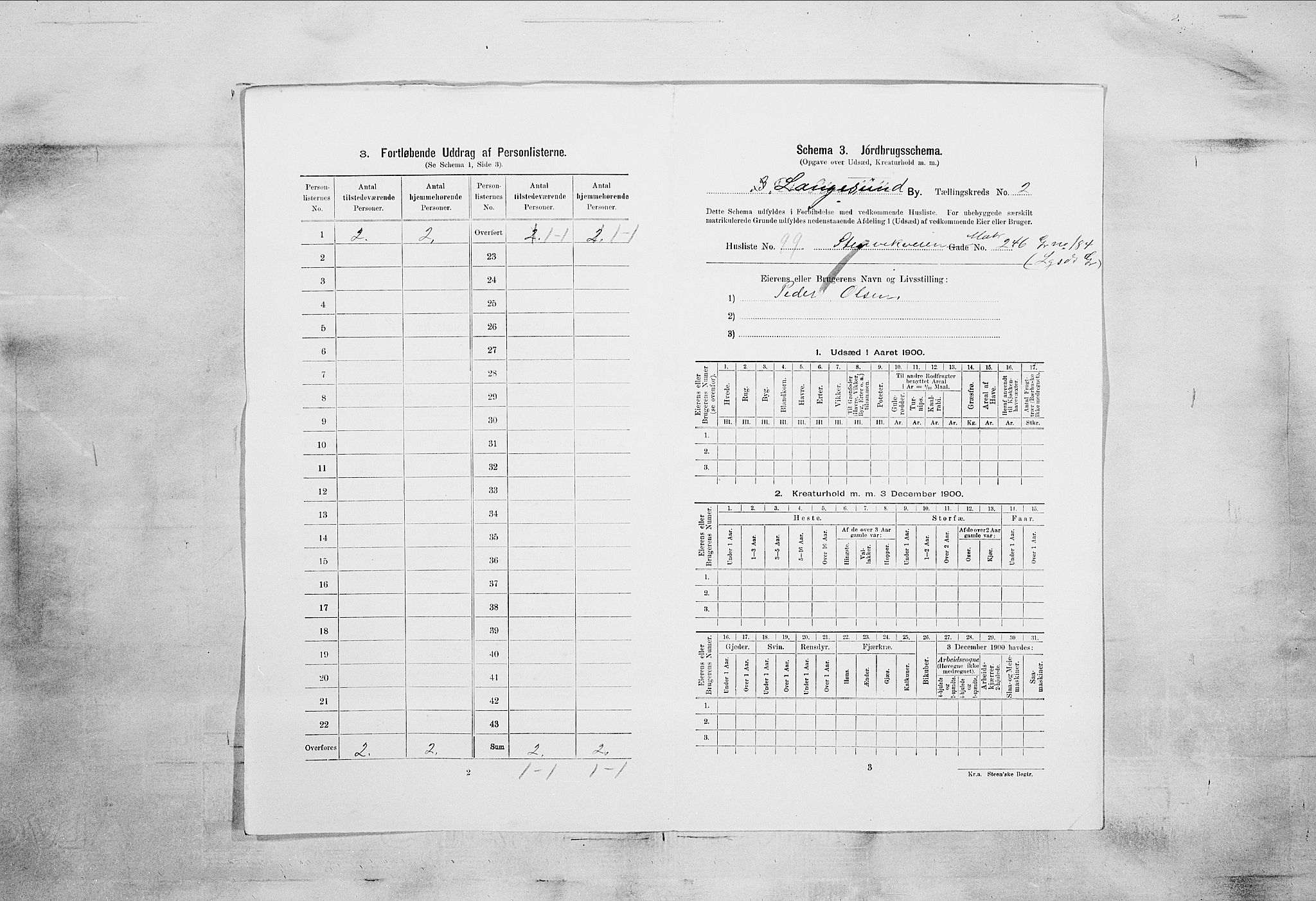 SAKO, 1900 census for Langesund, 1900, p. 795