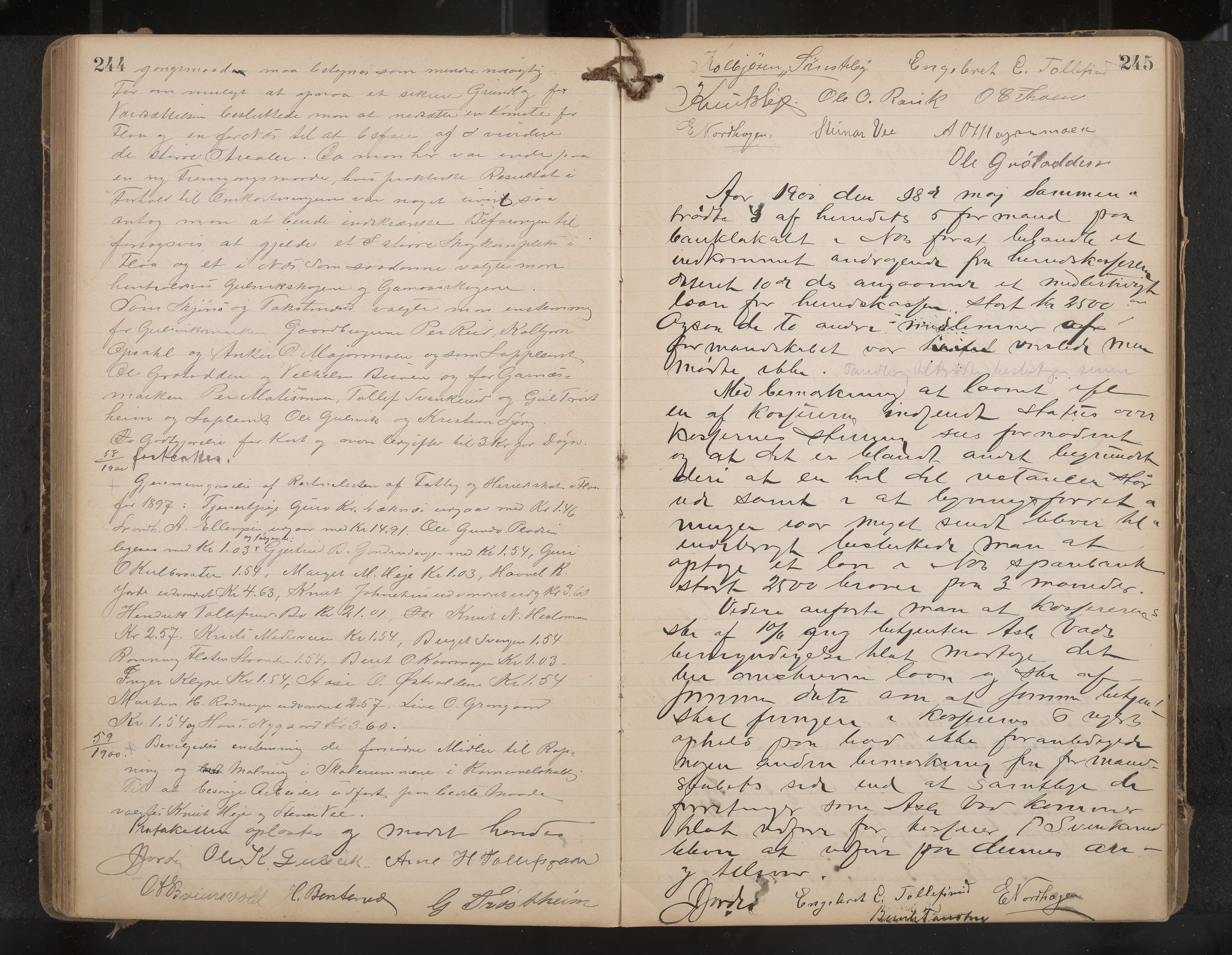 Nes formannskap og sentraladministrasjon, IKAK/0616021-1/A/Aa/L0003: Møtebok med register, 1894-1904, p. 244-245