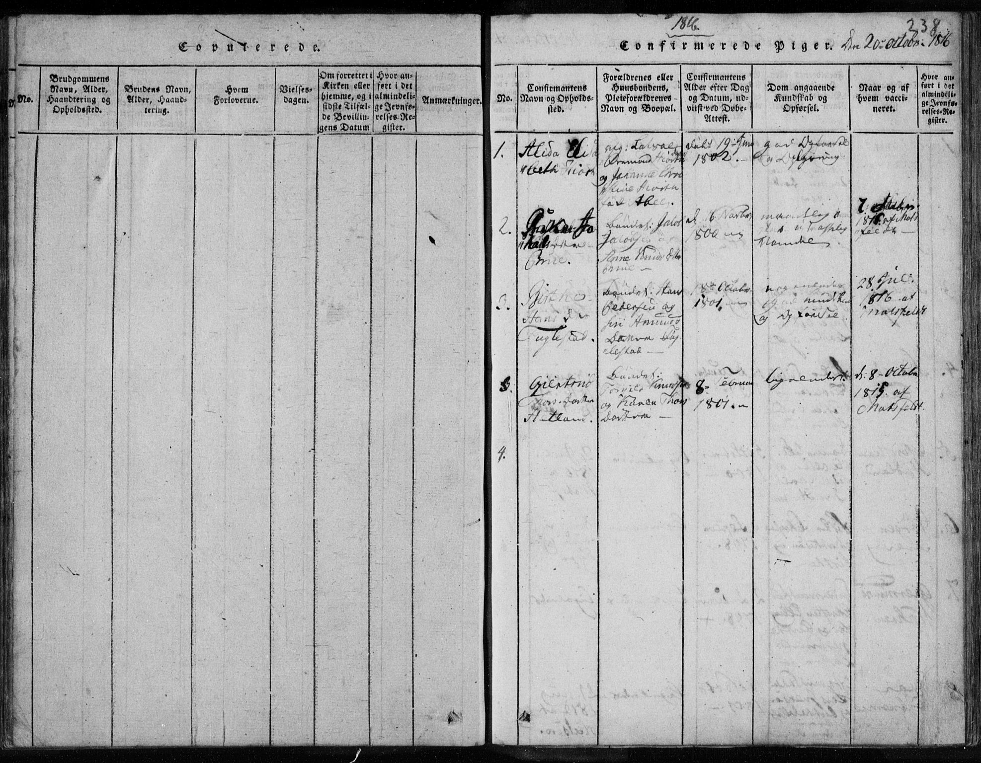 Eigersund sokneprestkontor, SAST/A-101807/S08/L0008: Parish register (official) no. A 8, 1816-1847, p. 238