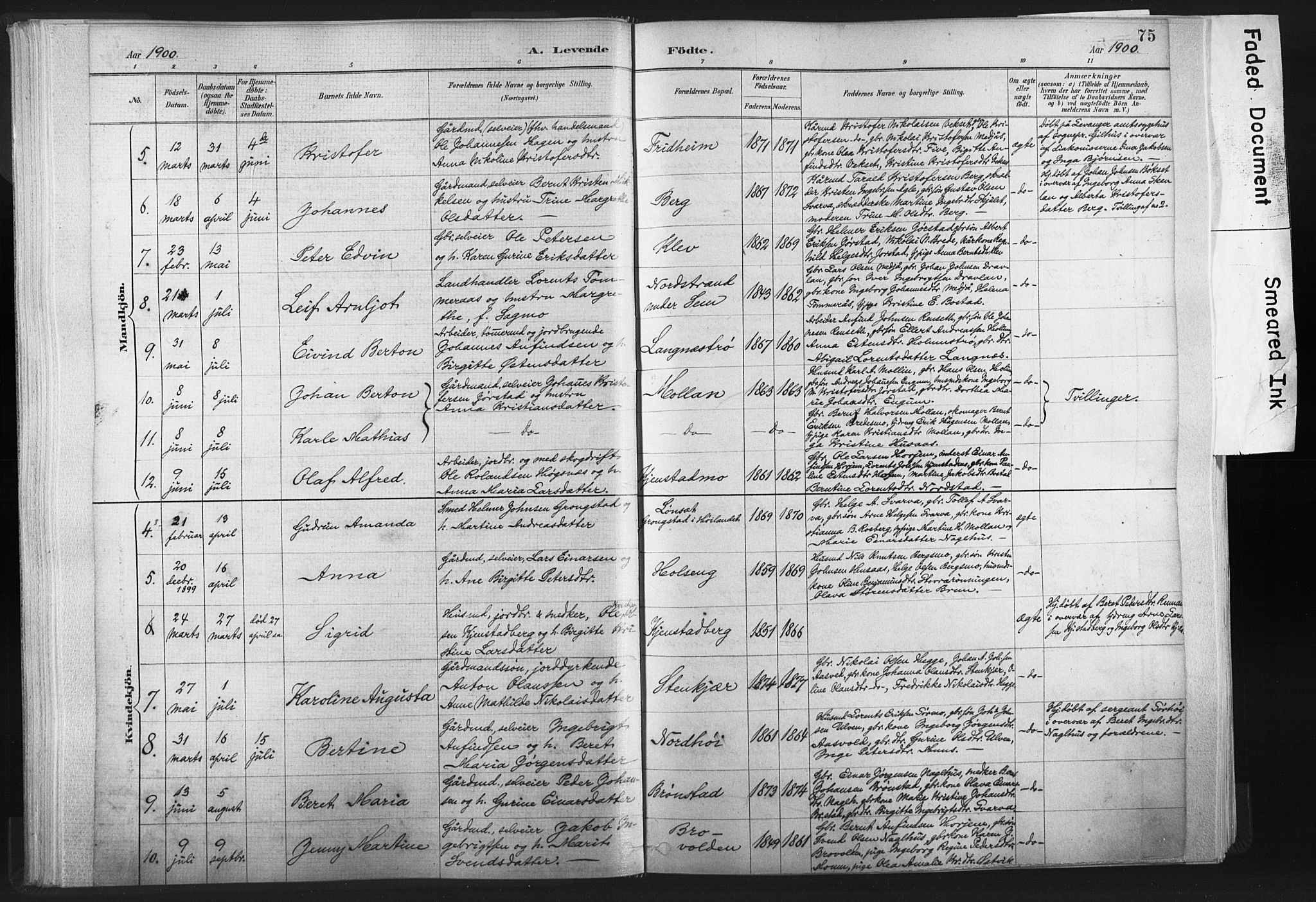 Ministerialprotokoller, klokkerbøker og fødselsregistre - Nord-Trøndelag, AV/SAT-A-1458/749/L0474: Parish register (official) no. 749A08, 1887-1903, p. 75