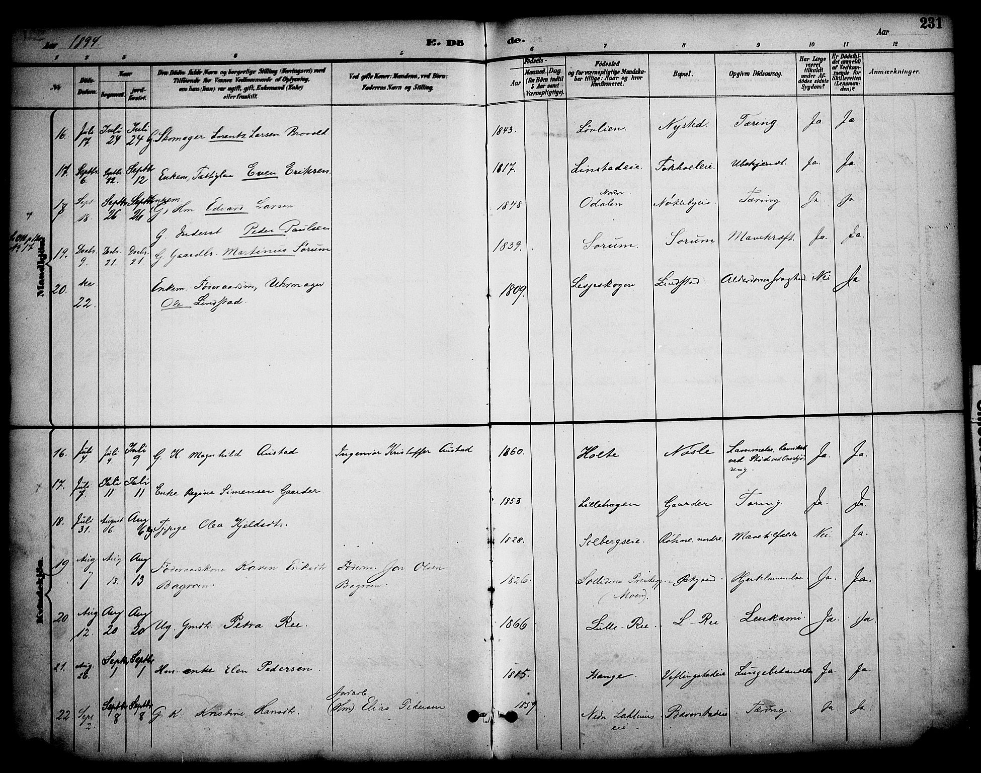 Stange prestekontor, SAH/PREST-002/K/L0020: Parish register (official) no. 20, 1894-1905, p. 231