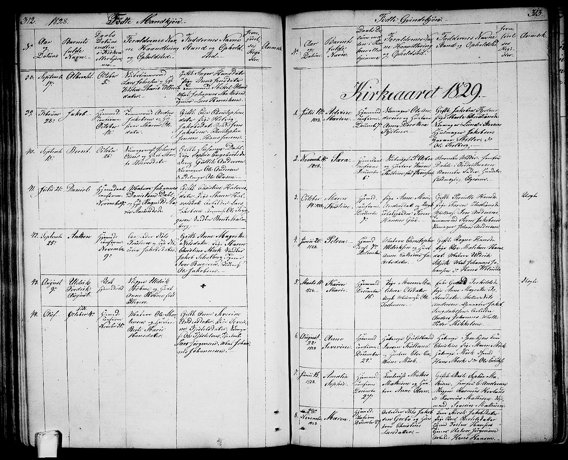 Larvik kirkebøker, SAKO/A-352/G/Ga/L0002: Parish register (copy) no. I 2, 1807-1830, p. 312-313