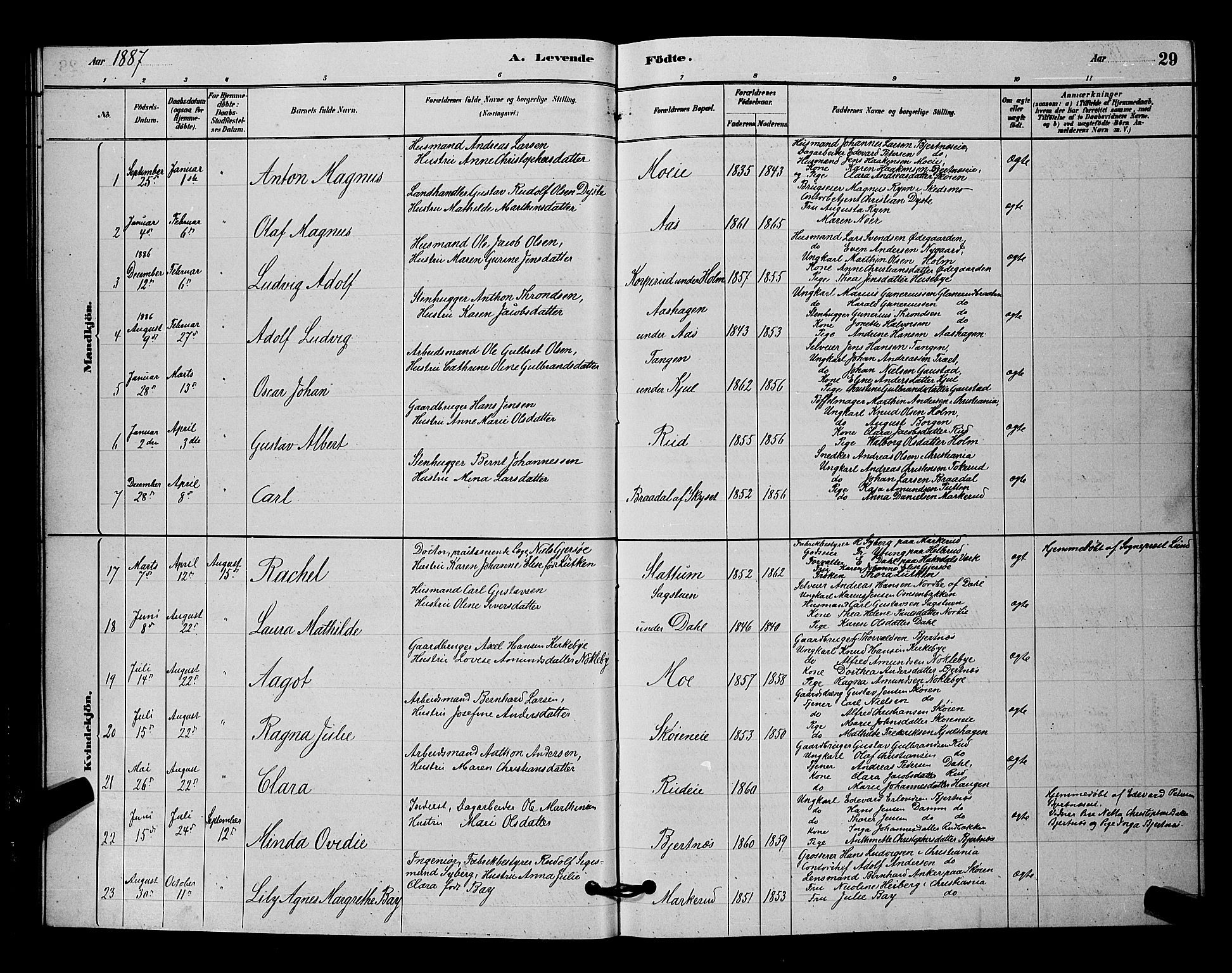Nittedal prestekontor Kirkebøker, SAO/A-10365a/G/Ga/L0002: Parish register (copy) no. I 2, 1879-1901, p. 29