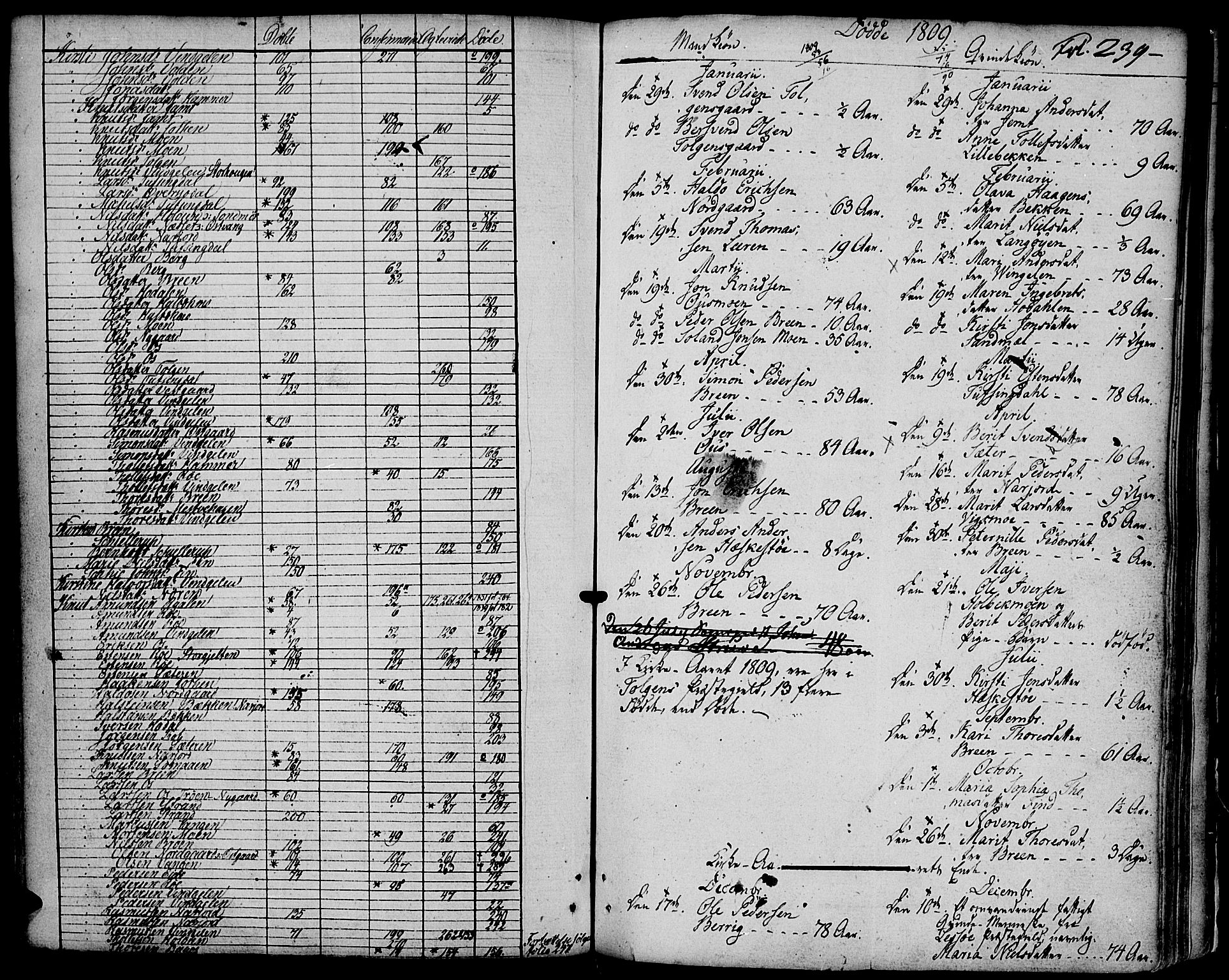 Tolga prestekontor, AV/SAH-PREST-062/K/L0003: Parish register (official) no. 3, 1786-1814, p. 239