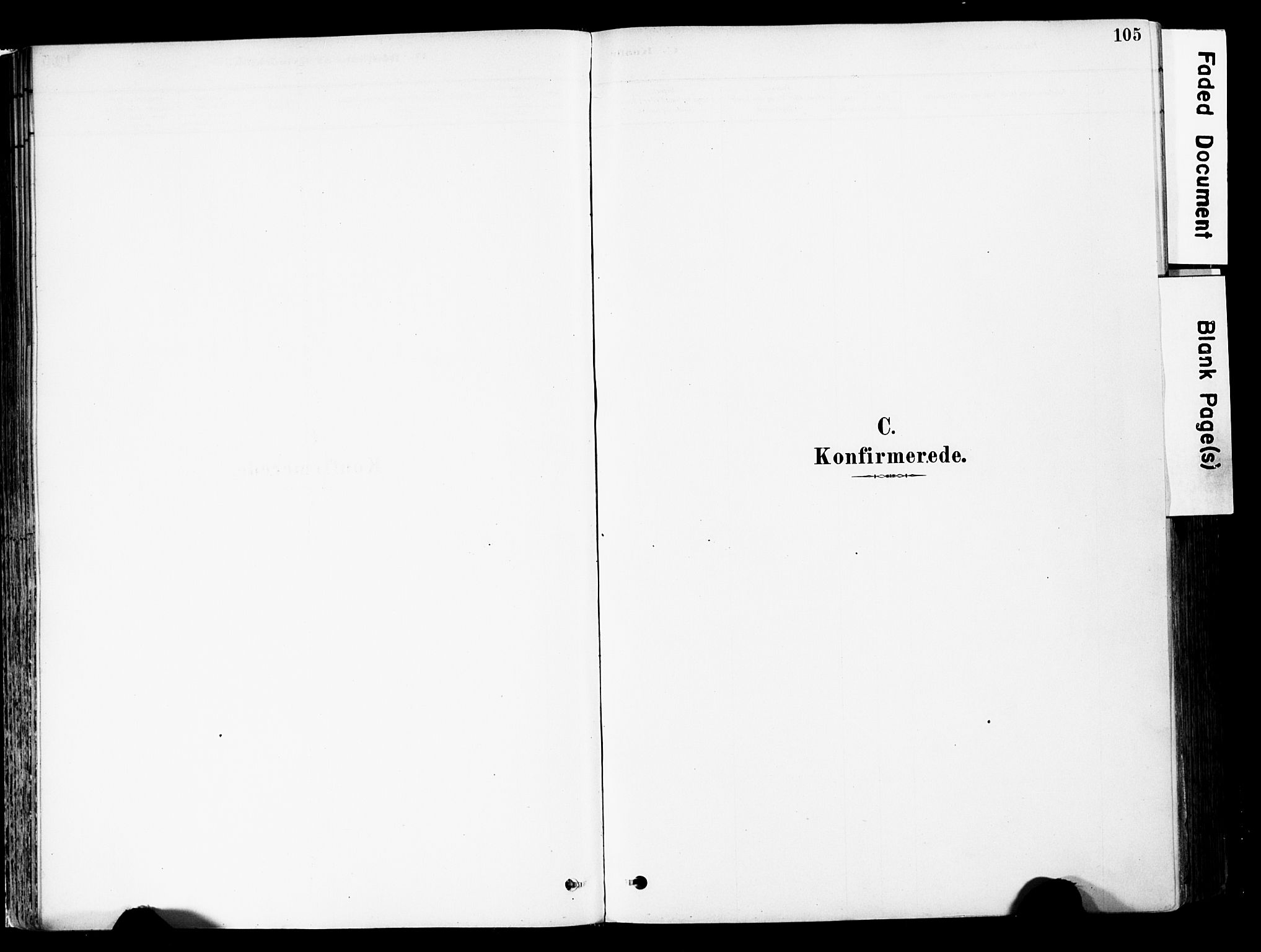 Ringebu prestekontor, AV/SAH-PREST-082/H/Ha/Haa/L0008: Parish register (official) no. 8, 1878-1898, p. 105