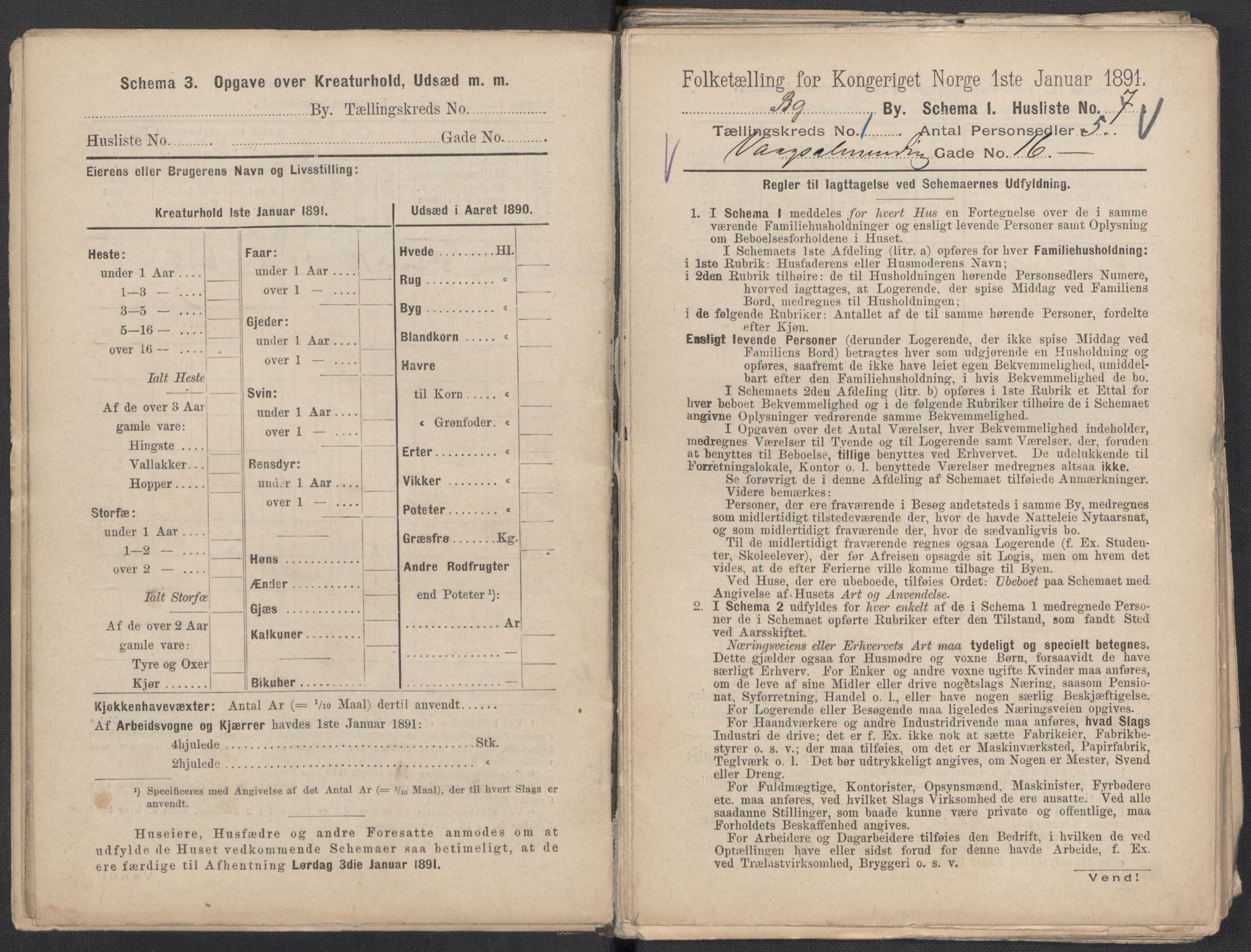 RA, 1891 Census for 1301 Bergen, 1891, p. 160