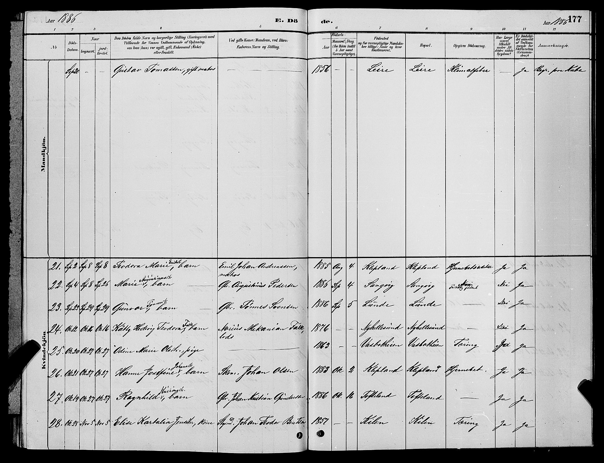 Søgne sokneprestkontor, SAK/1111-0037/F/Fb/Fbb/L0005: Parish register (copy) no. B 5, 1884-1891, p. 177