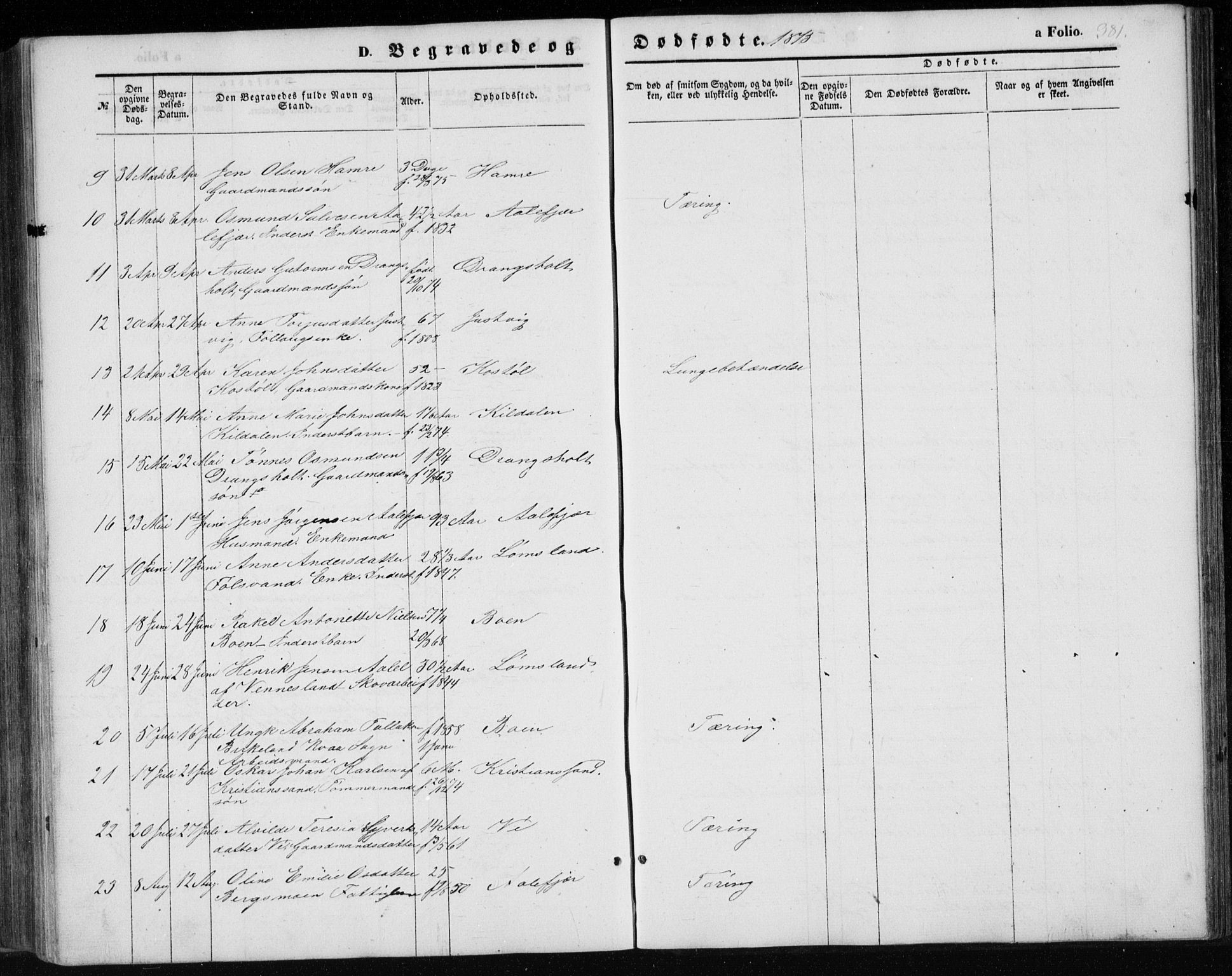 Tveit sokneprestkontor, AV/SAK-1111-0043/F/Fb/L0003: Parish register (copy) no. B 3, 1854-1886, p. 381