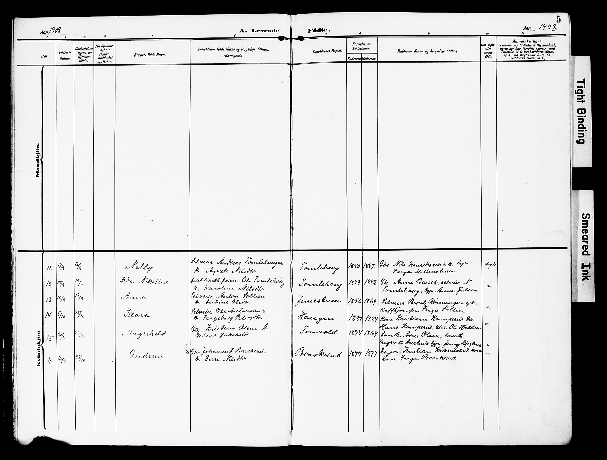 Nordre Land prestekontor, SAH/PREST-124/H/Ha/Hab/L0001: Parish register (copy) no. 1, 1908-1931, p. 5