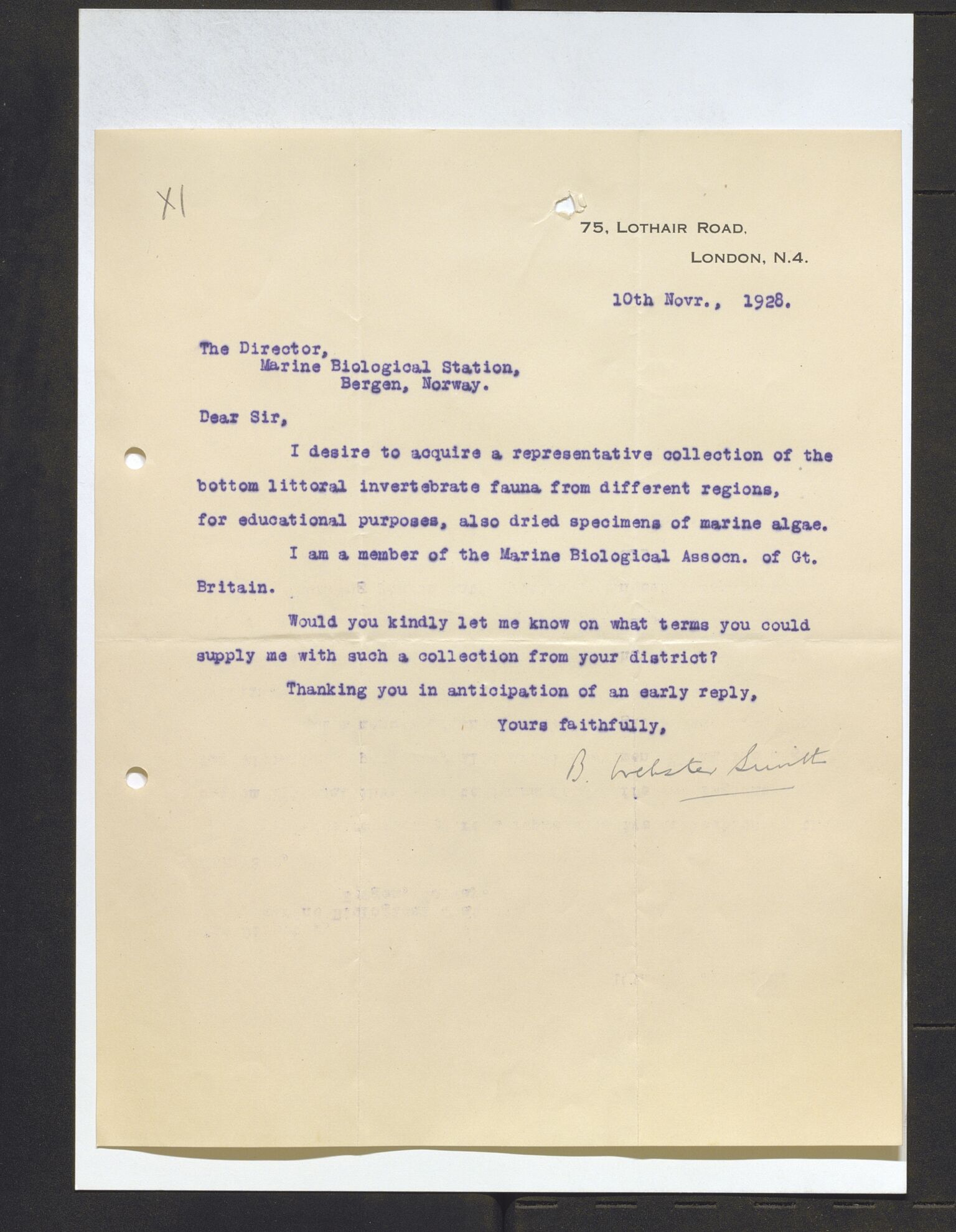 Bergens Museum, AV/SAB-A-17301/13/D/L0002: Korrespondanse , 1928-1940, p. 246