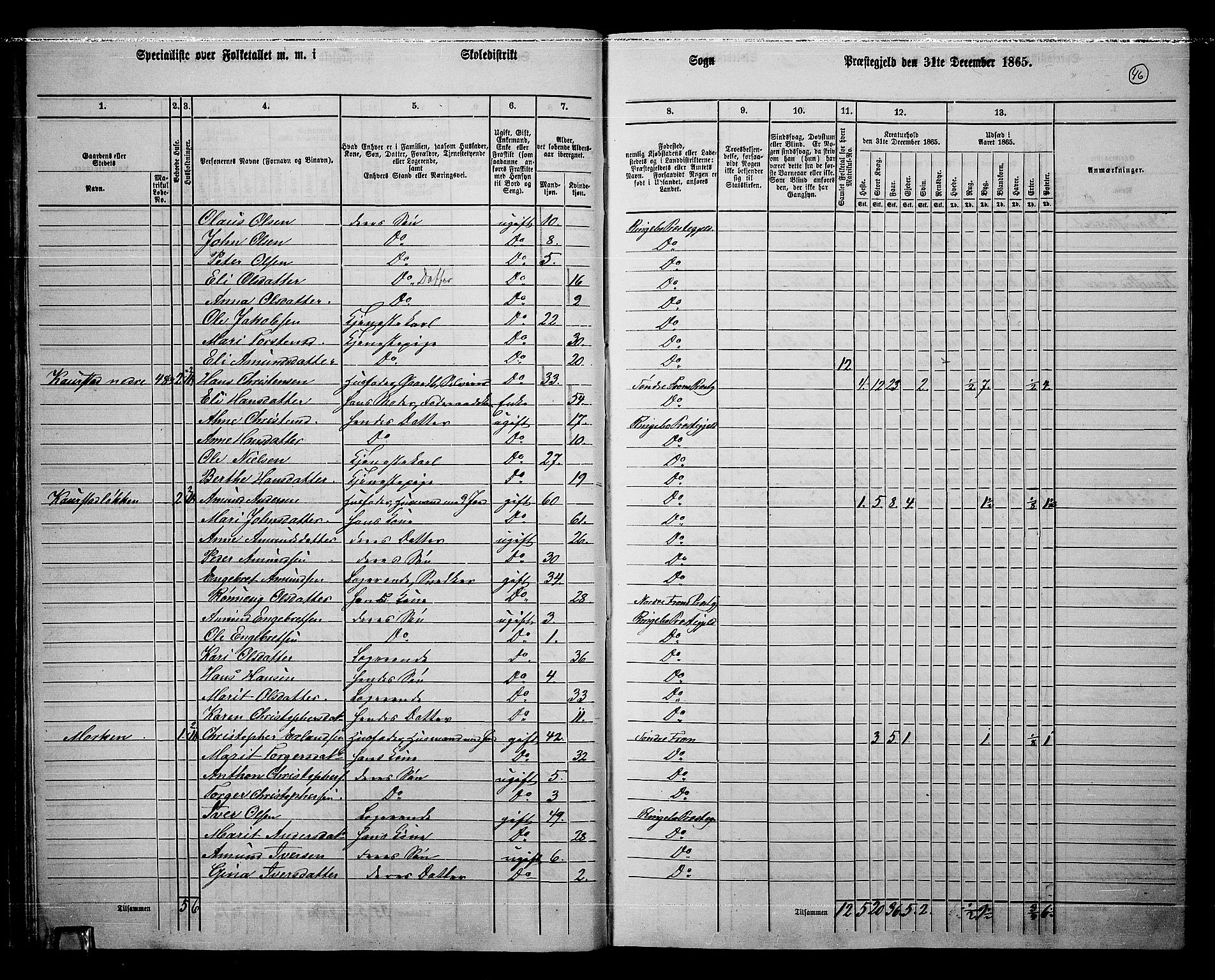RA, 1865 census for Ringebu, 1865, p. 37