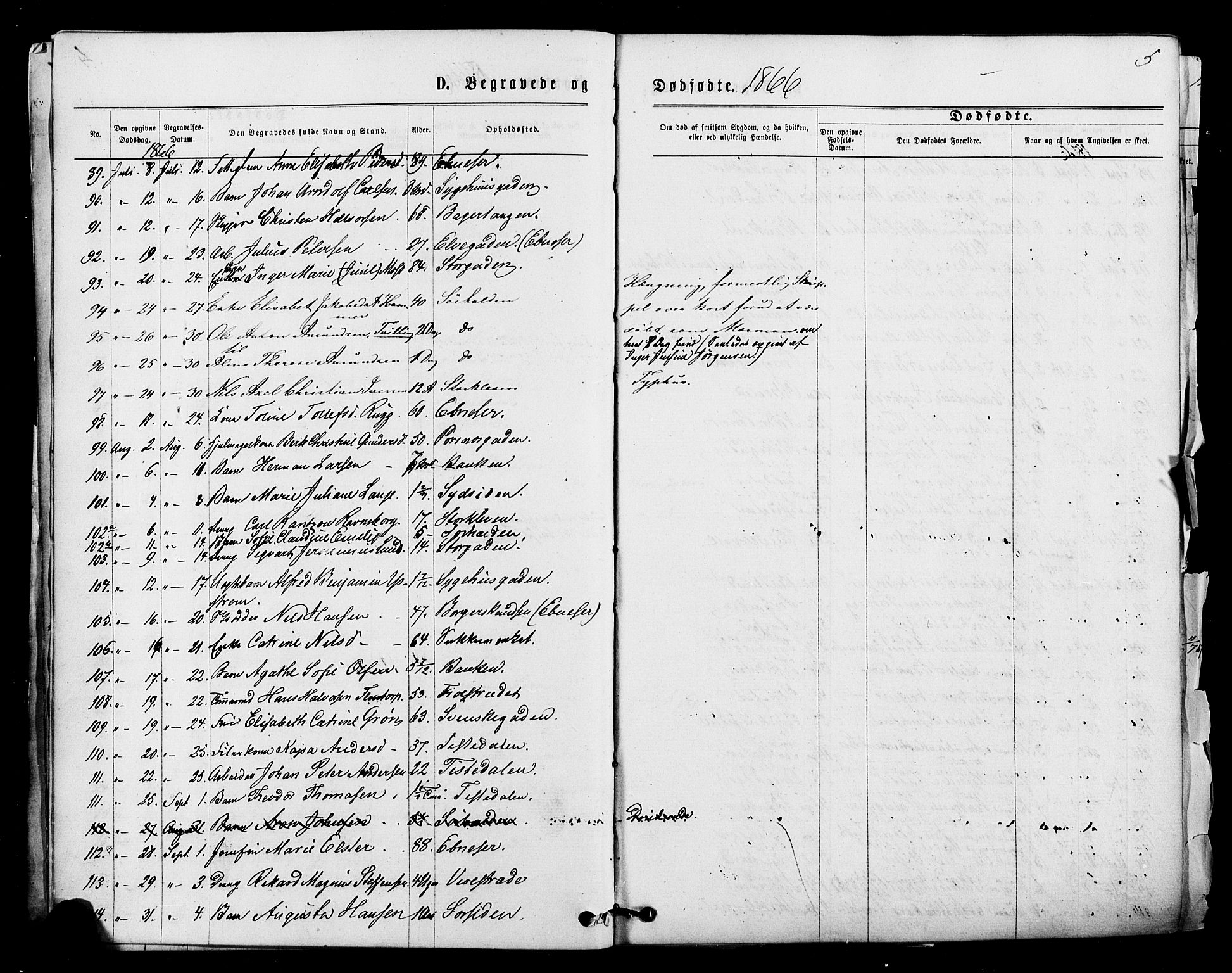 Halden prestekontor Kirkebøker, AV/SAO-A-10909/F/Fa/L0010: Parish register (official) no. I 10, 1866-1877, p. 5