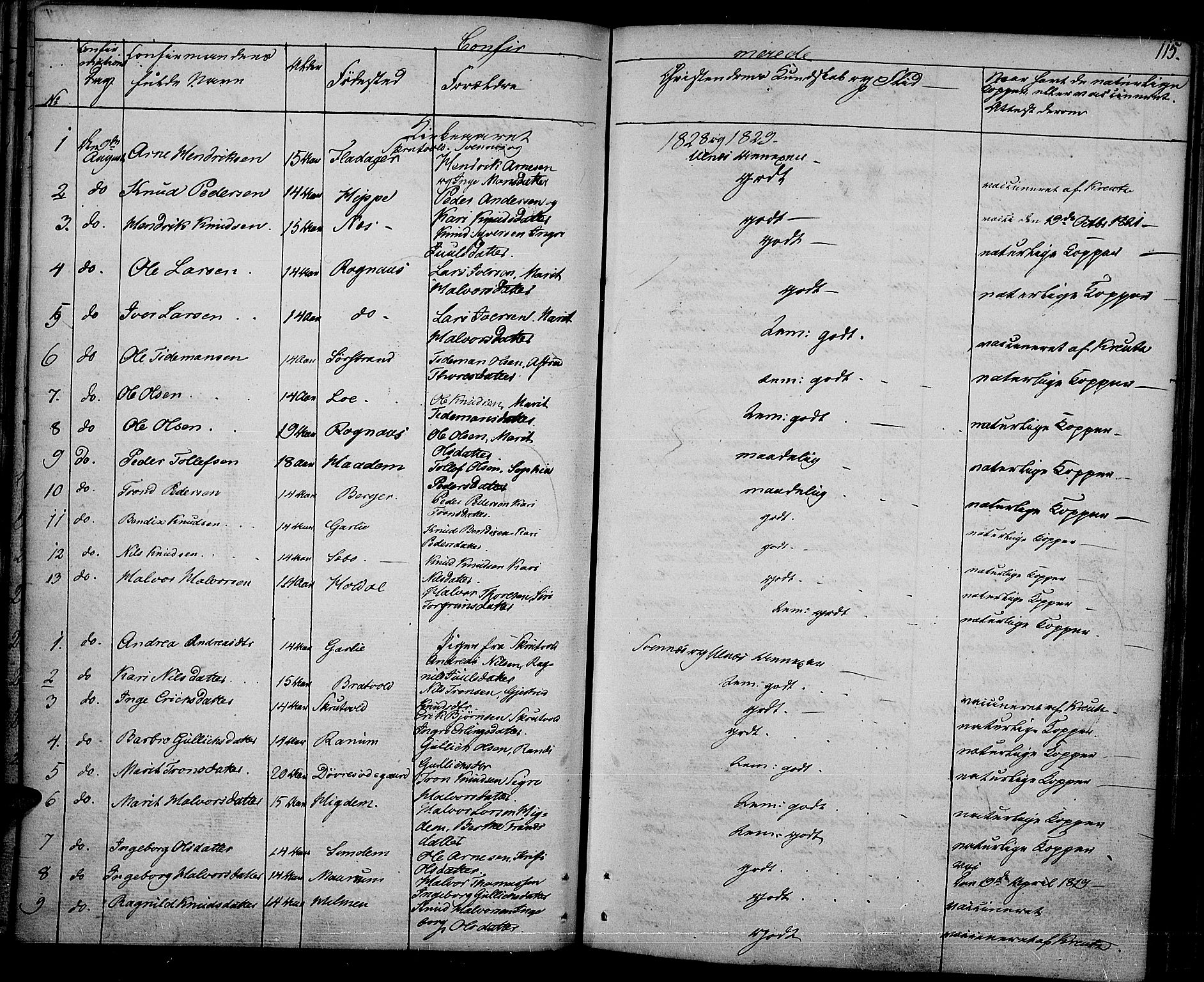Nord-Aurdal prestekontor, SAH/PREST-132/H/Ha/Haa/L0003: Parish register (official) no. 3, 1828-1841, p. 115