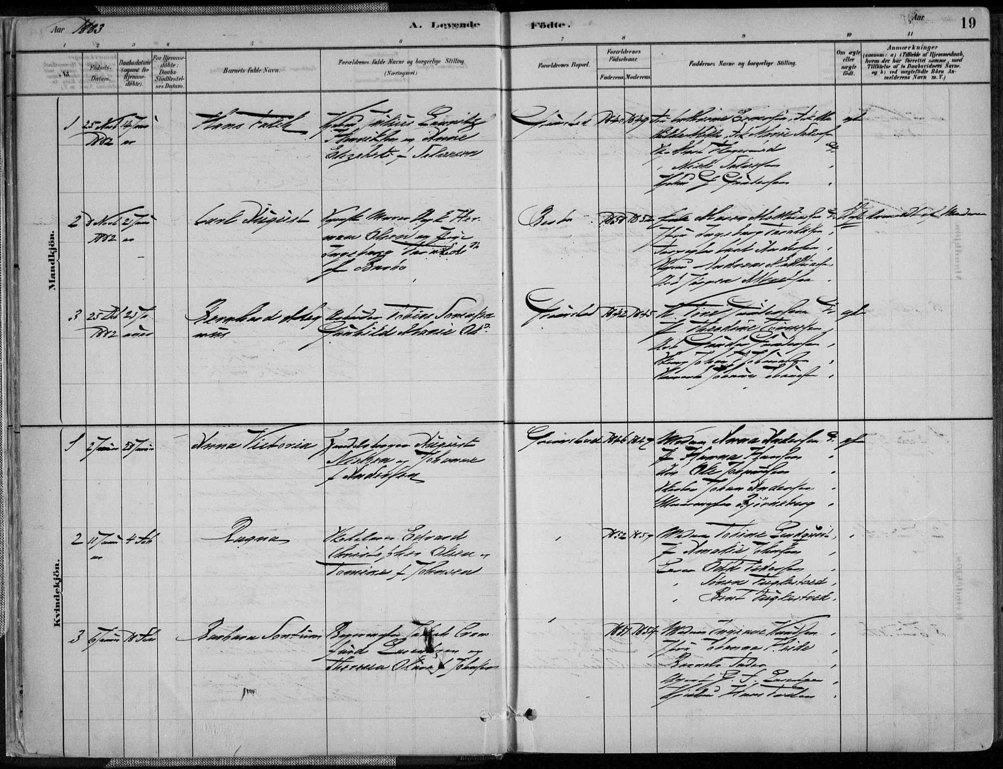 Grimstad sokneprestkontor, SAK/1111-0017/F/Fa/L0003: Parish register (official) no. A 2, 1882-1912, p. 19