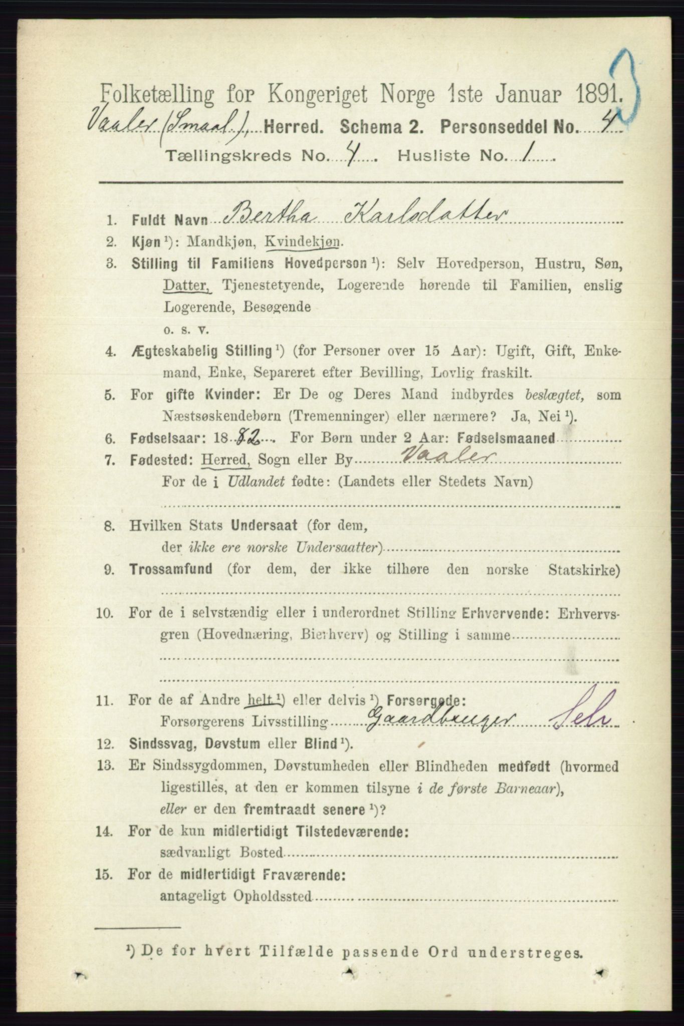 RA, 1891 census for 0137 Våler, 1891, p. 1613