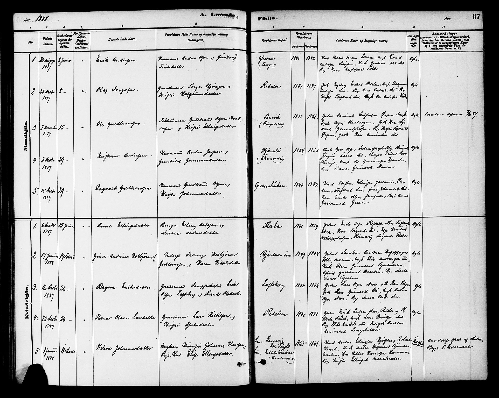 Krødsherad kirkebøker, AV/SAKO-A-19/G/Ga/L0001: Parish register (copy) no. 1, 1879-1893, p. 67