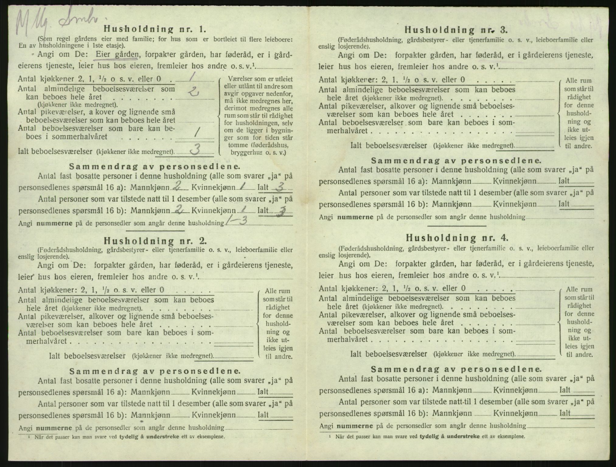 SAKO, 1920 census for Brunlanes, 1920, p. 910
