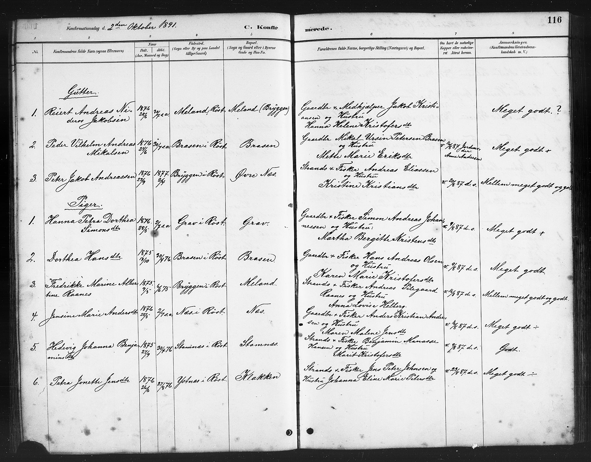 Ministerialprotokoller, klokkerbøker og fødselsregistre - Nordland, AV/SAT-A-1459/808/L0131: Parish register (copy) no. 808C02, 1879-1919, p. 116