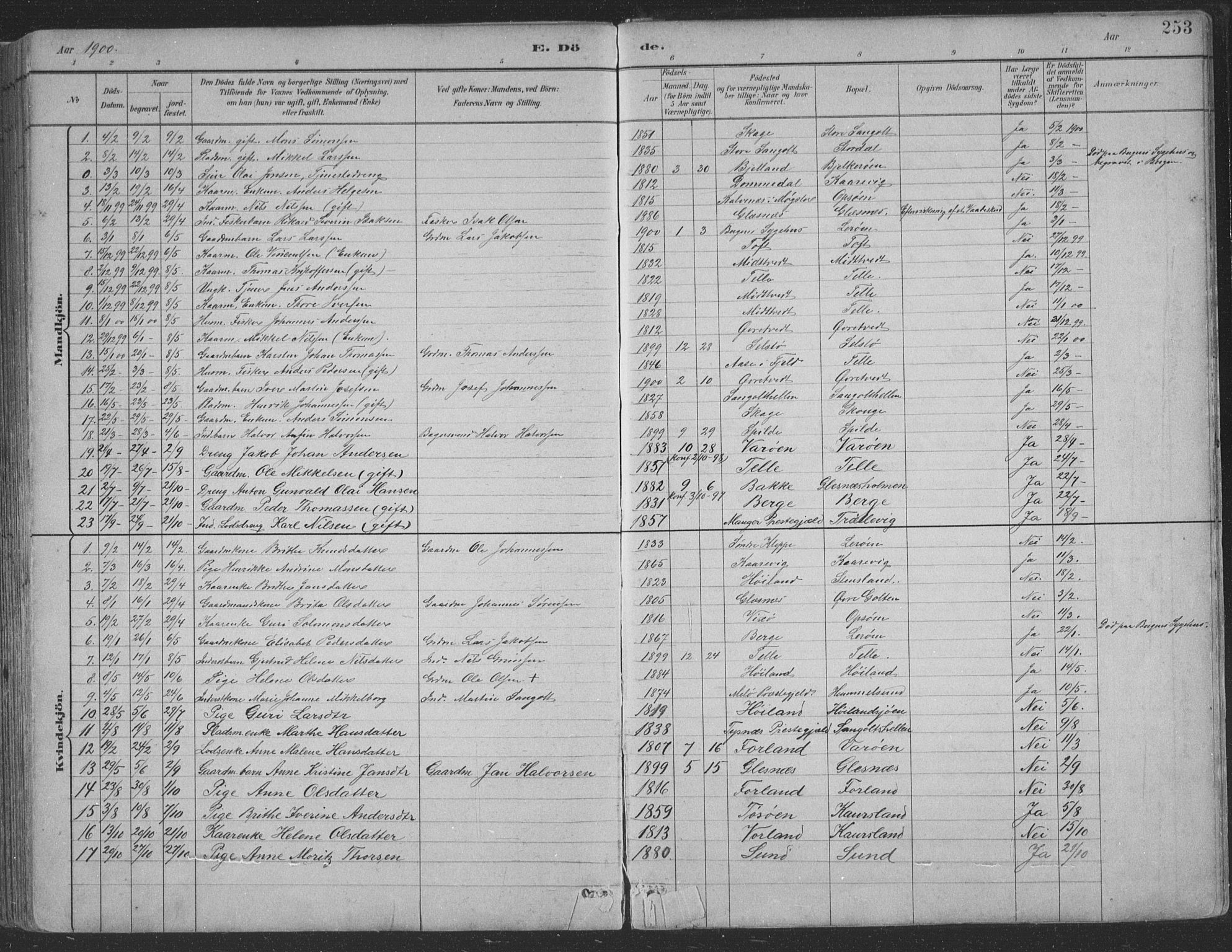 Sund sokneprestembete, SAB/A-99930: Parish register (copy) no. B 3, 1882-1911, p. 253