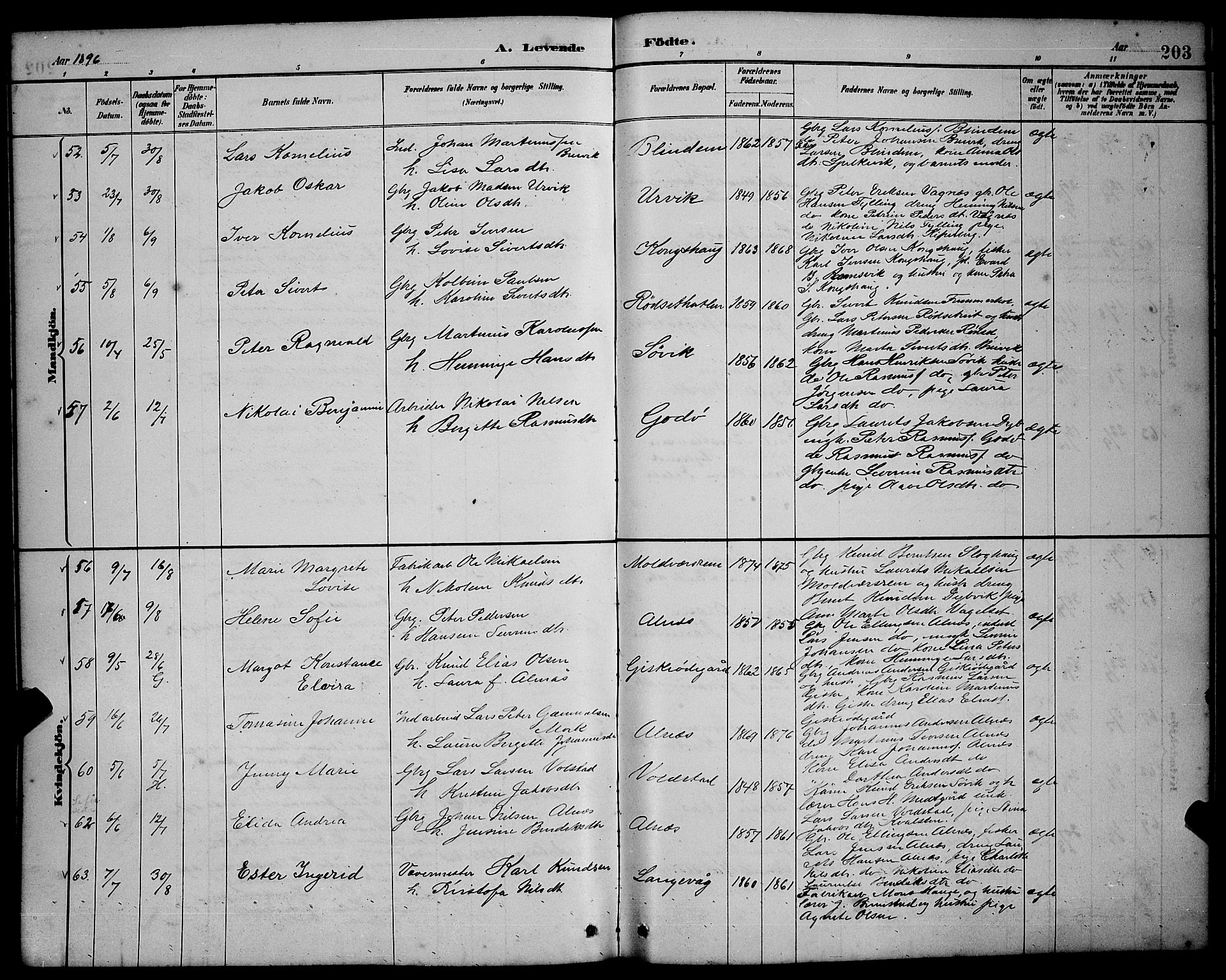 Ministerialprotokoller, klokkerbøker og fødselsregistre - Møre og Romsdal, AV/SAT-A-1454/528/L0431: Parish register (copy) no. 528C12, 1885-1898, p. 203