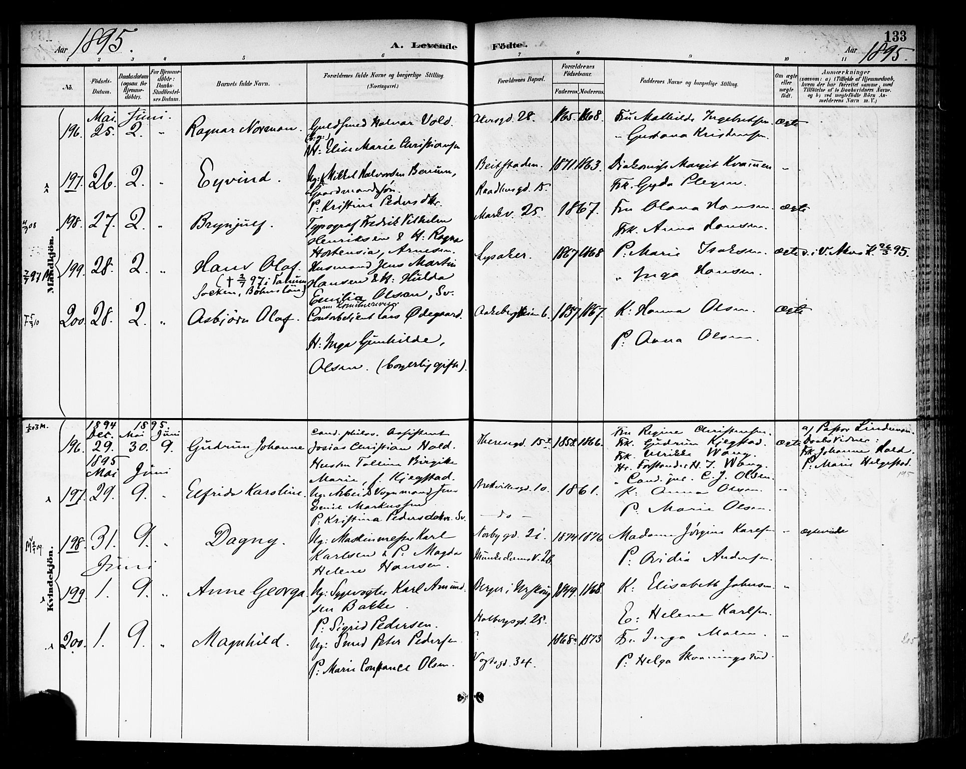 Rikshospitalet prestekontor Kirkebøker, SAO/A-10309b/F/L0009: Parish register (official) no. 9, 1894-1897, p. 133