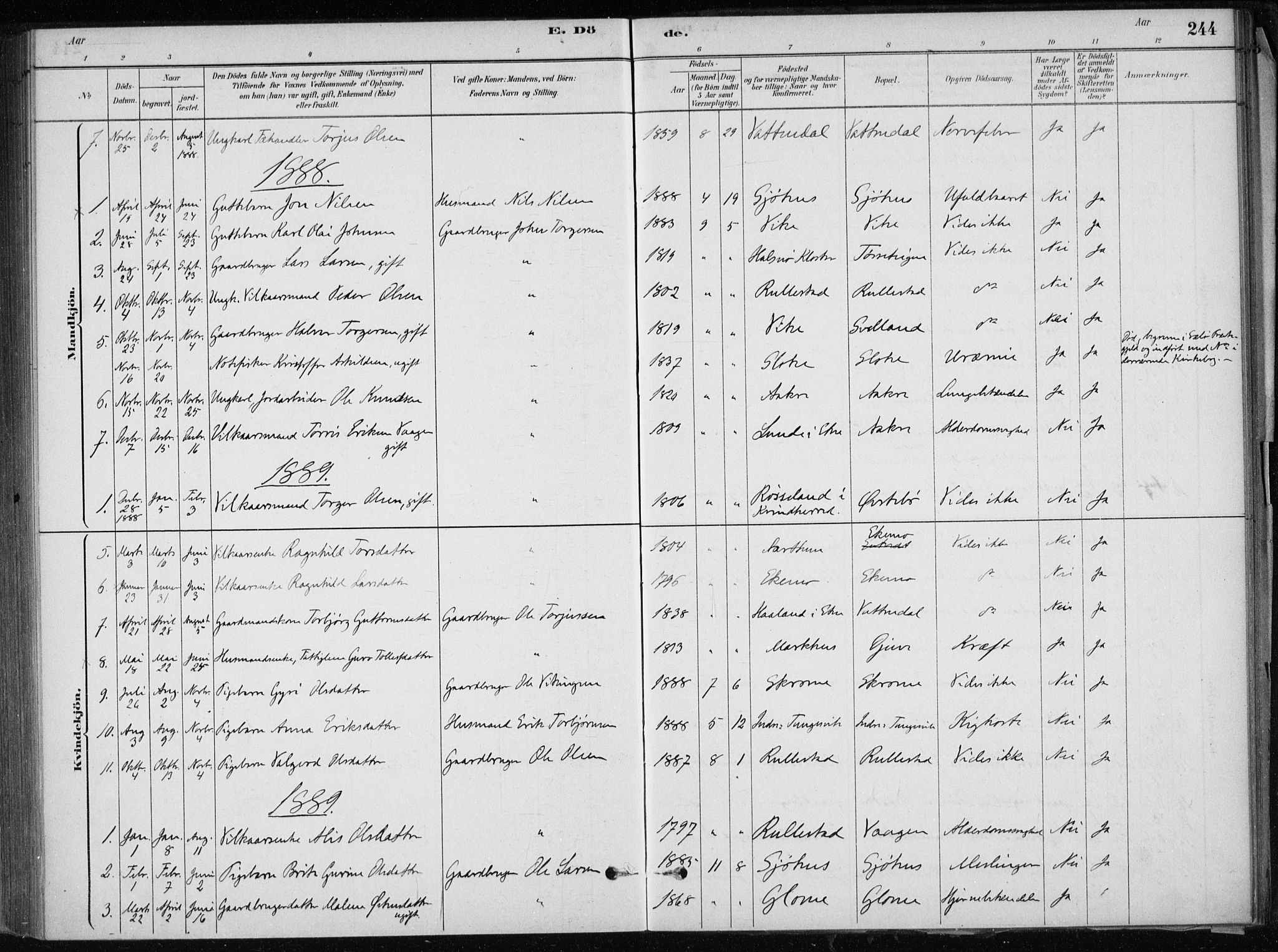 Skånevik sokneprestembete, SAB/A-77801/H/Haa: Parish register (official) no. E  1, 1879-1901, p. 244