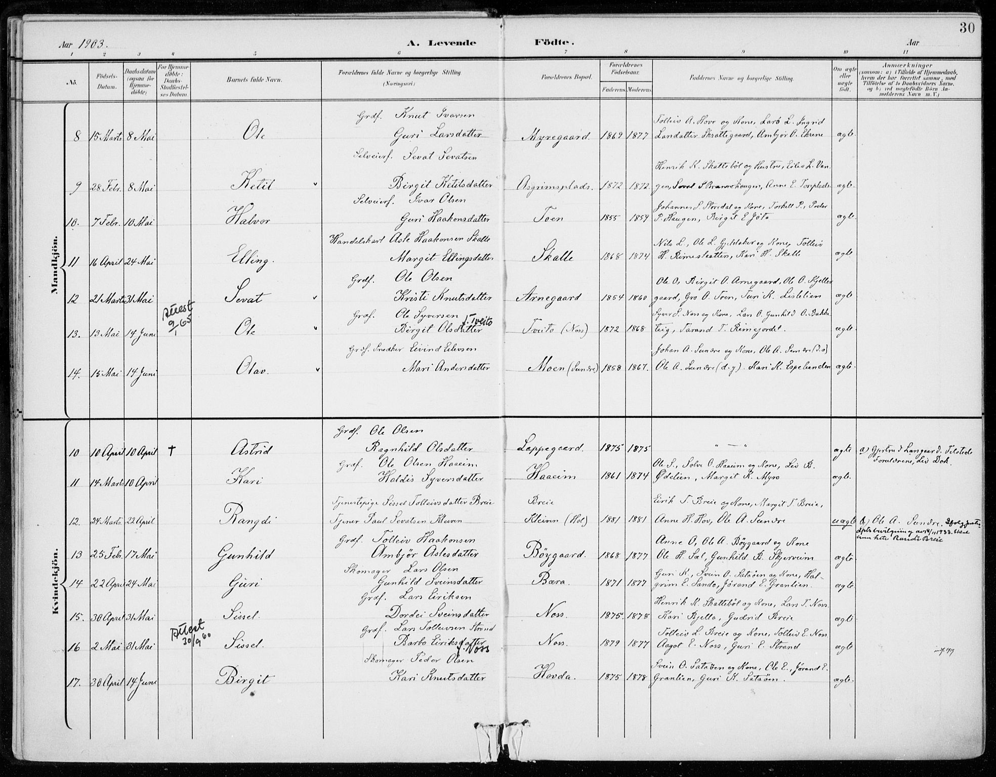 Ål kirkebøker, AV/SAKO-A-249/F/Fa/L0009: Parish register (official) no. I 9, 1897-1915, p. 30