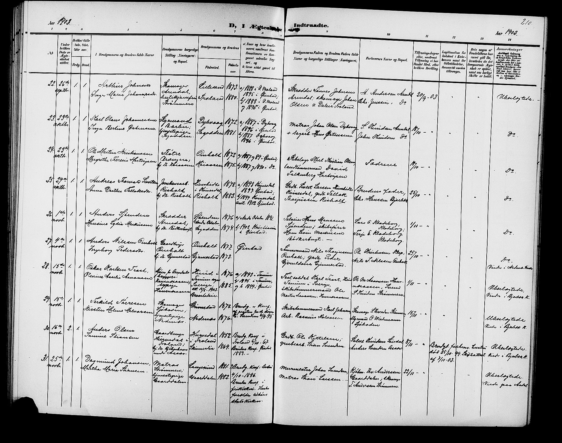 Øyestad sokneprestkontor, SAK/1111-0049/F/Fb/L0010: Parish register (copy) no. B 10, 1897-1906, p. 210