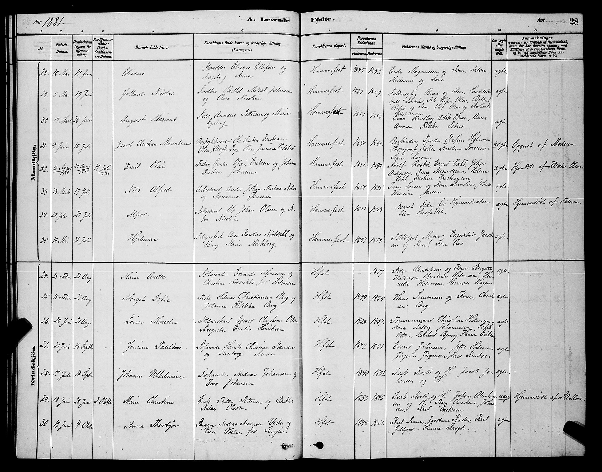 Hammerfest sokneprestkontor, SATØ/S-1347/H/Hb/L0006.klokk: Parish register (copy) no. 6, 1876-1884, p. 28