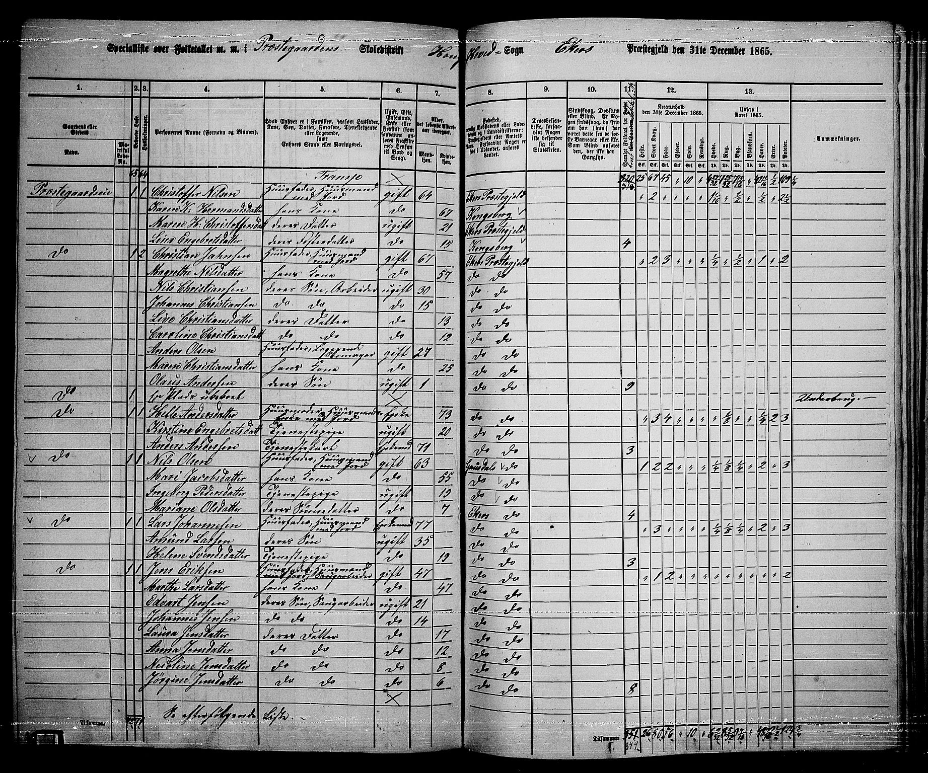 RA, 1865 census for Eiker, 1865, p. 183