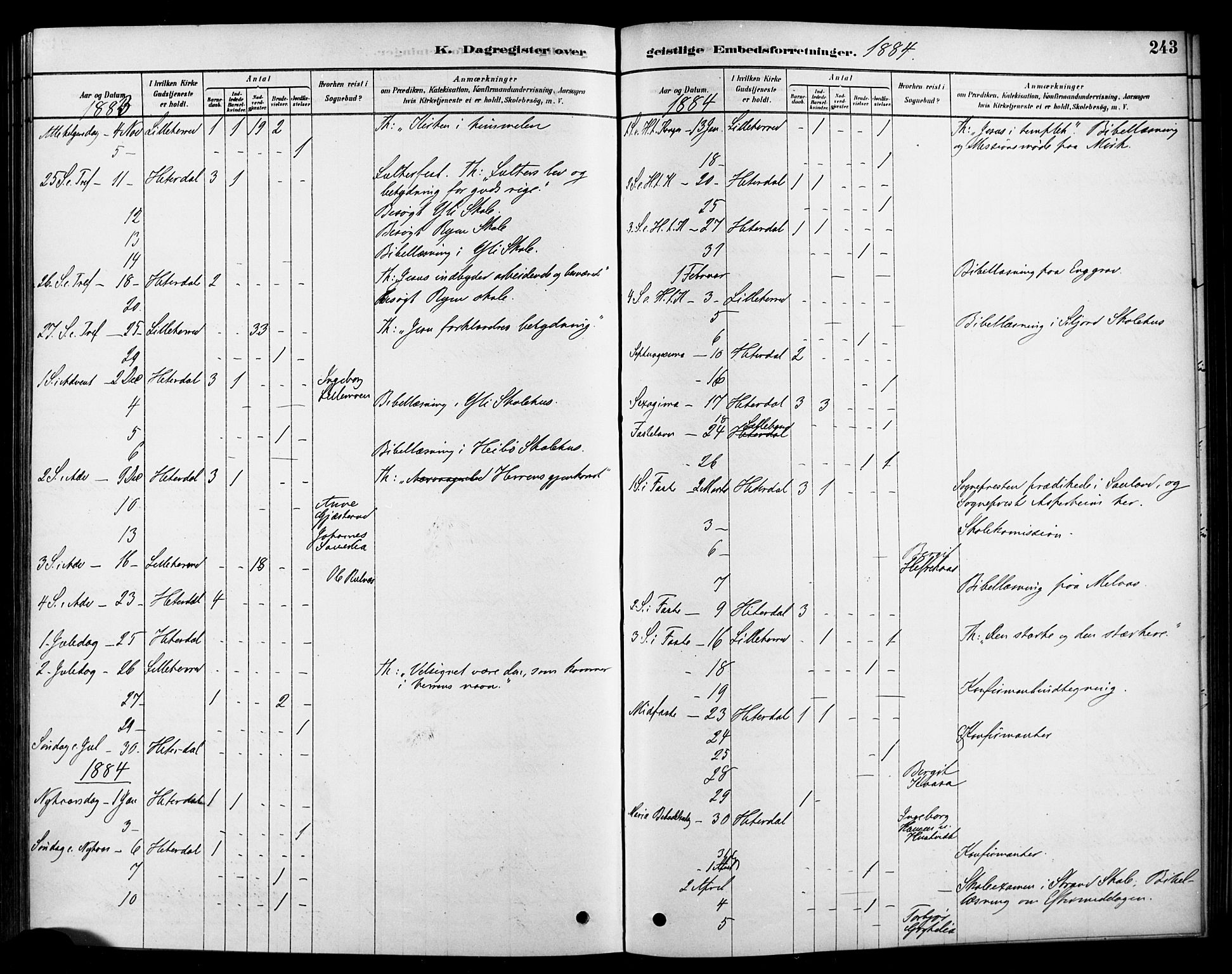 Heddal kirkebøker, SAKO/A-268/F/Fa/L0009: Parish register (official) no. I 9, 1878-1903, p. 243