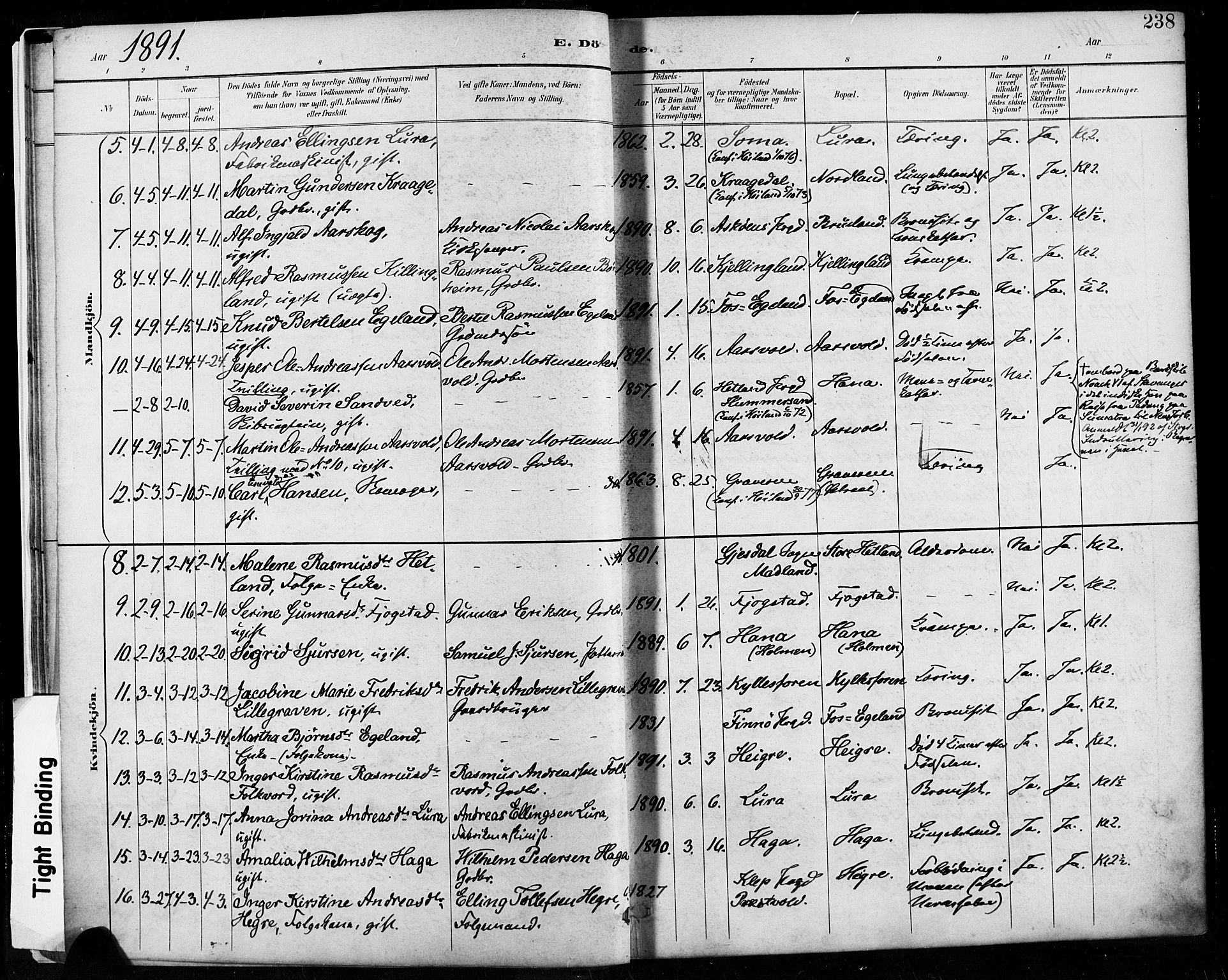 Høyland sokneprestkontor, AV/SAST-A-101799/001/30BA/L0013: Parish register (official) no. A 13.2, 1889-1898, p. 238