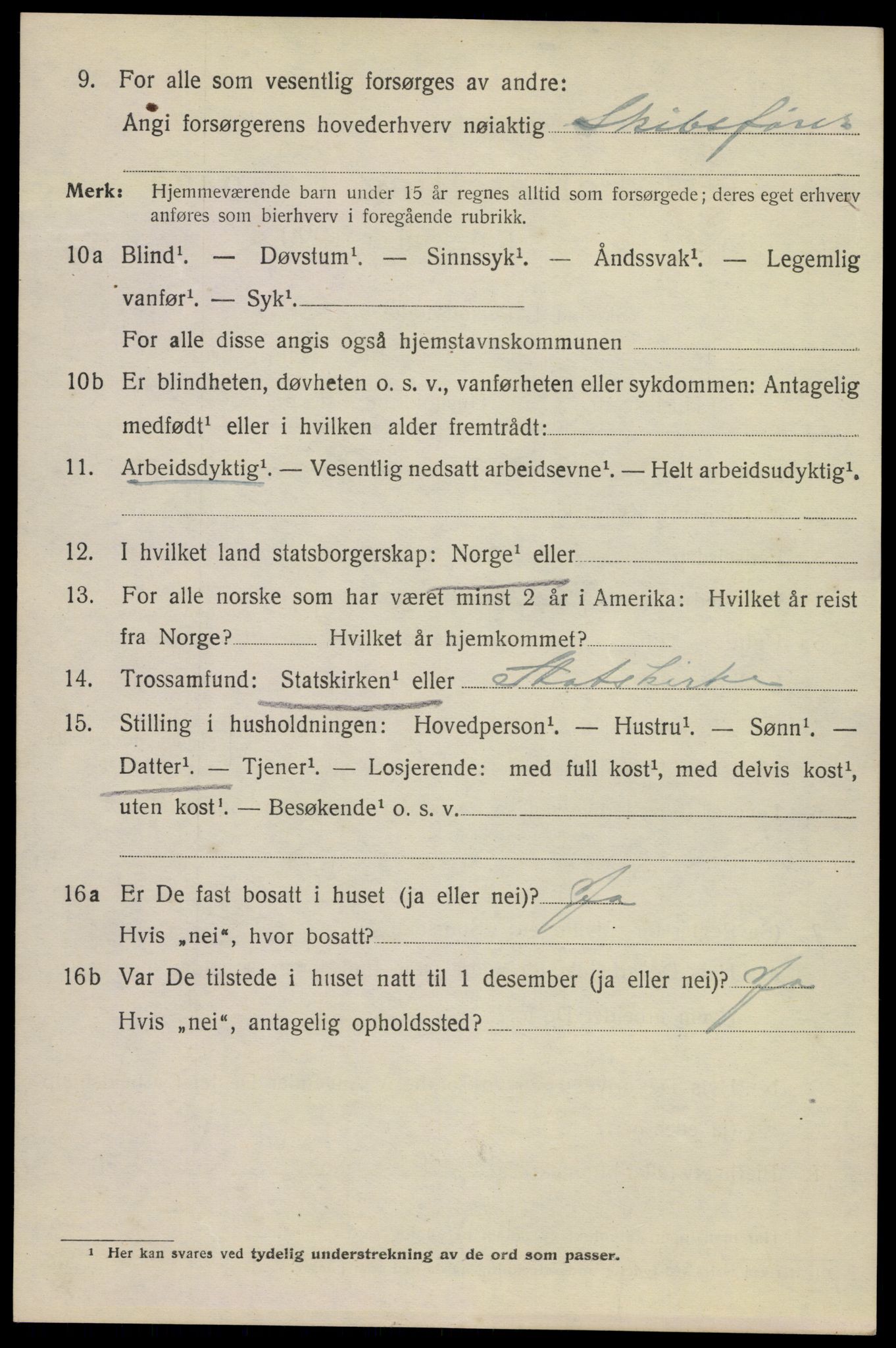 SAKO, 1920 census for Kragerø, 1920, p. 12980