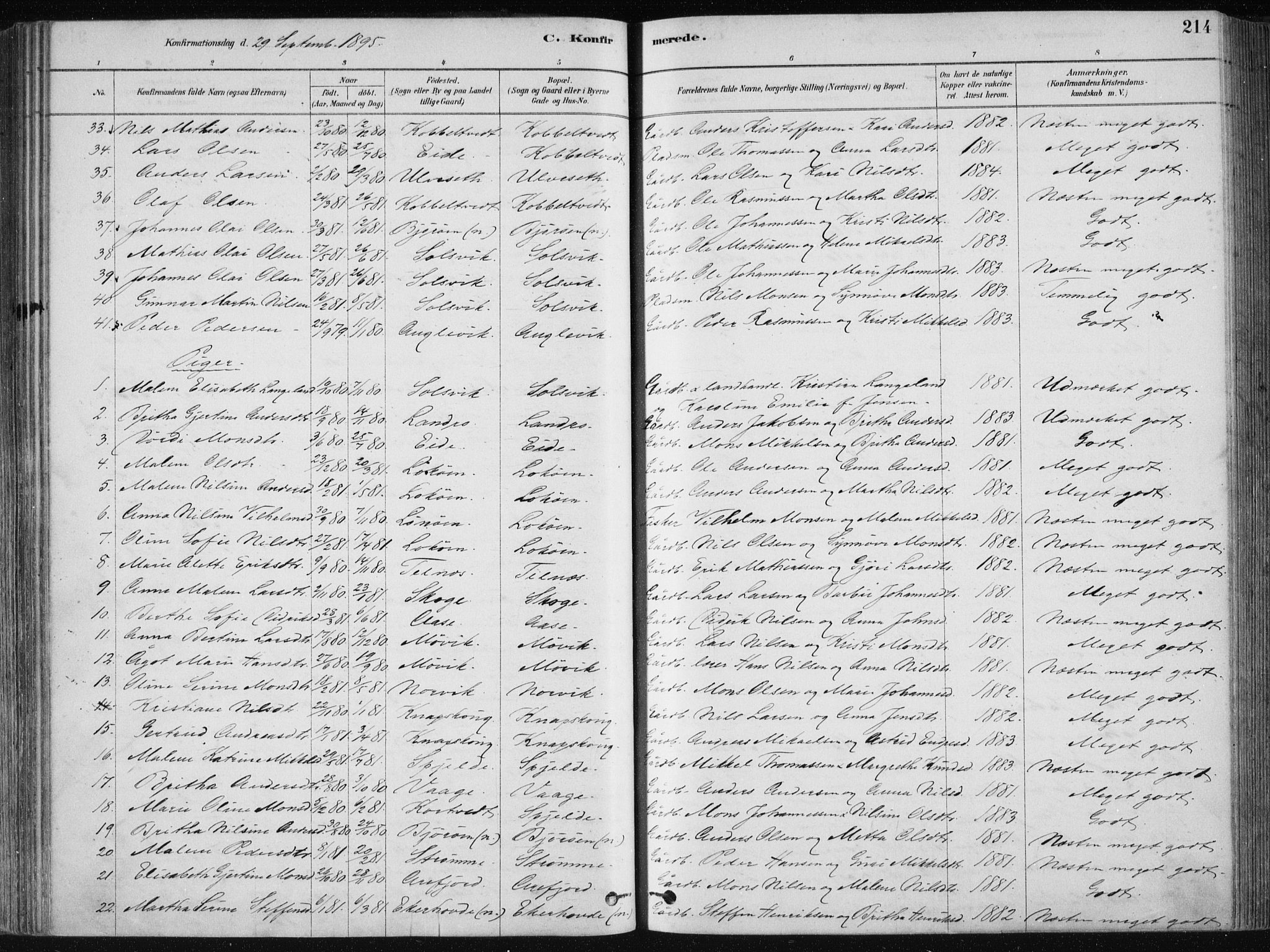 Fjell sokneprestembete, SAB/A-75301/H/Haa: Parish register (official) no. A  8, 1878-1898, p. 214