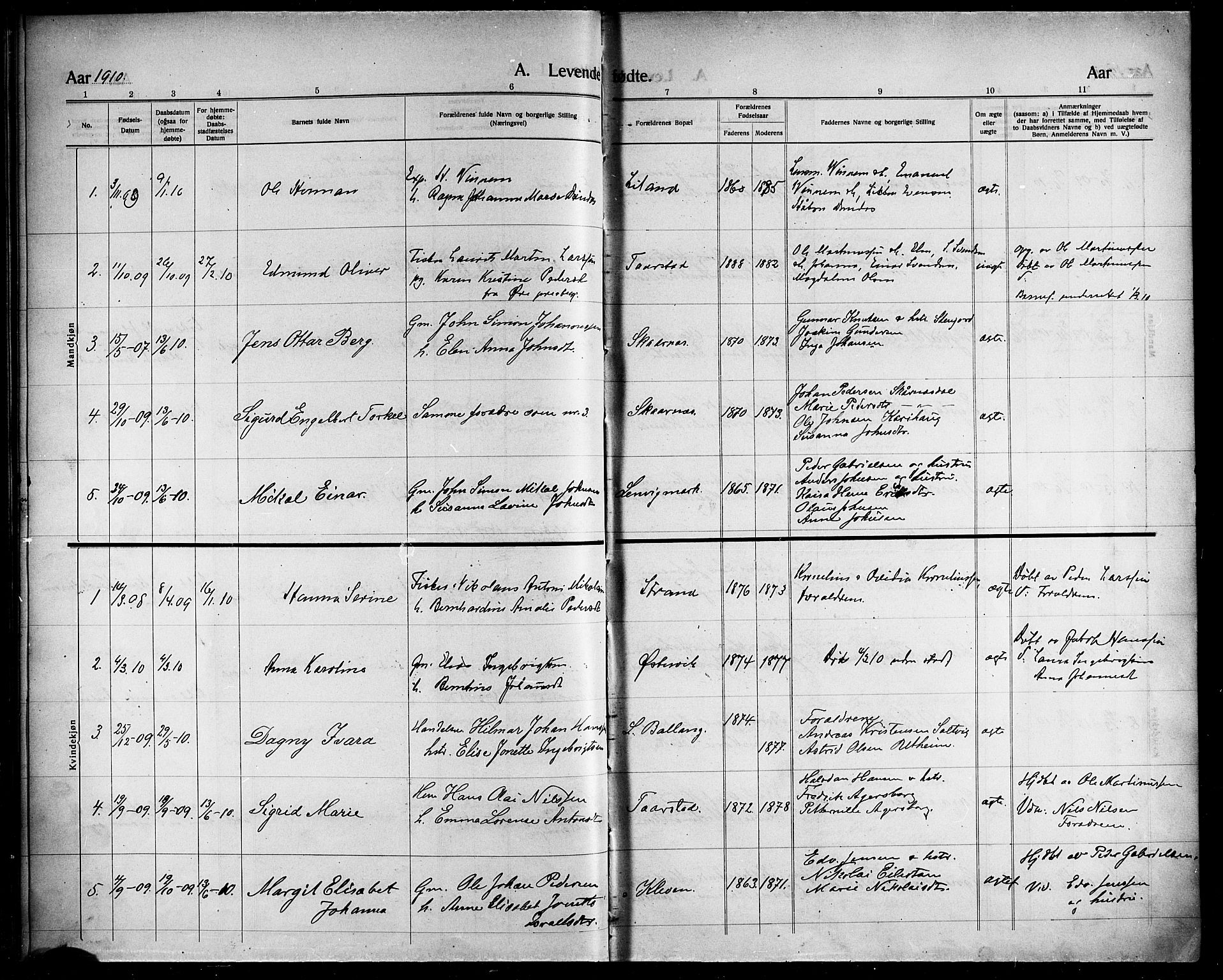 Ministerialprotokoller, klokkerbøker og fødselsregistre - Nordland, AV/SAT-A-1459/863/L0916: Parish register (copy) no. 863C06, 1907-1921