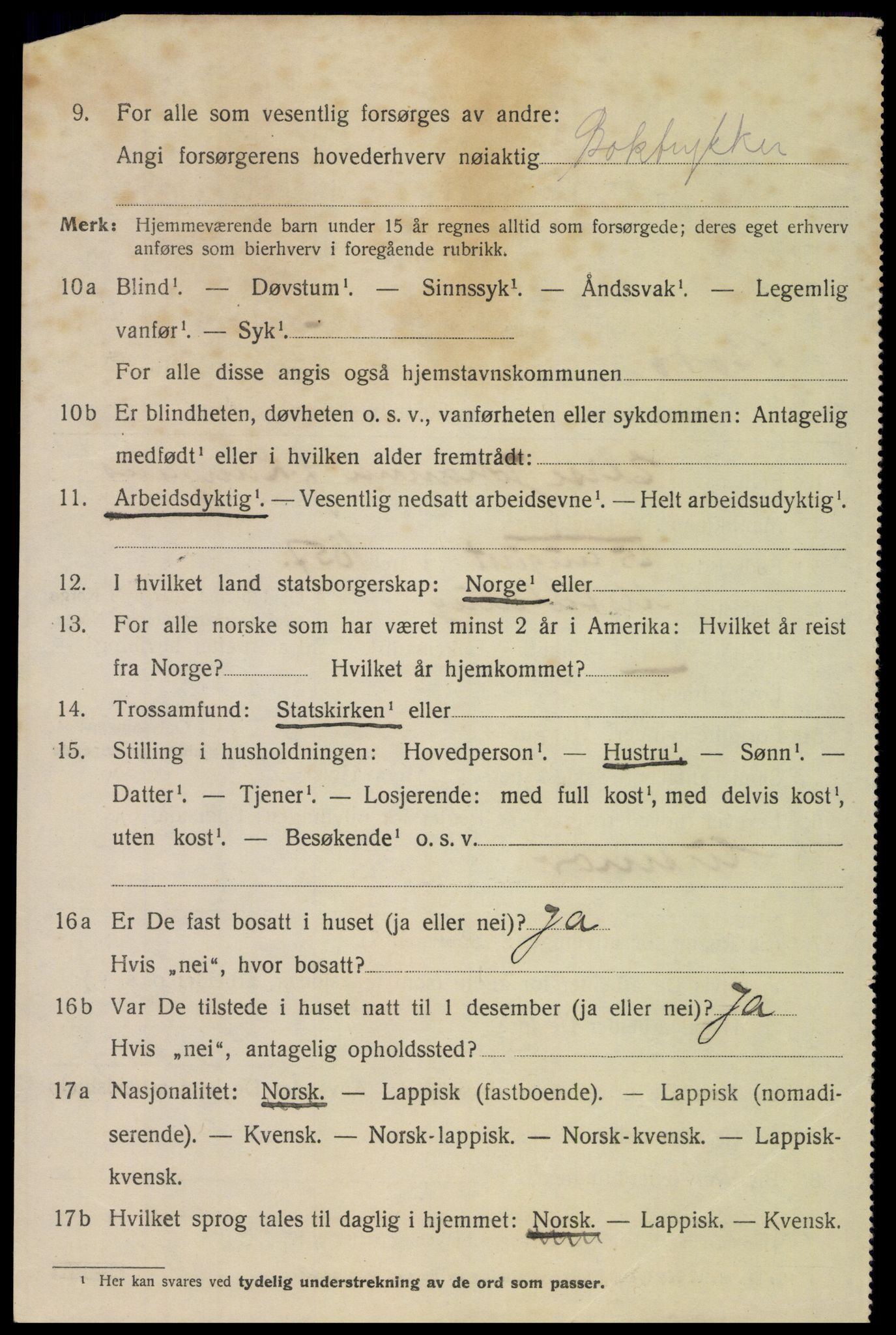 SAT, 1920 census for Bodø, 1920, p. 12134