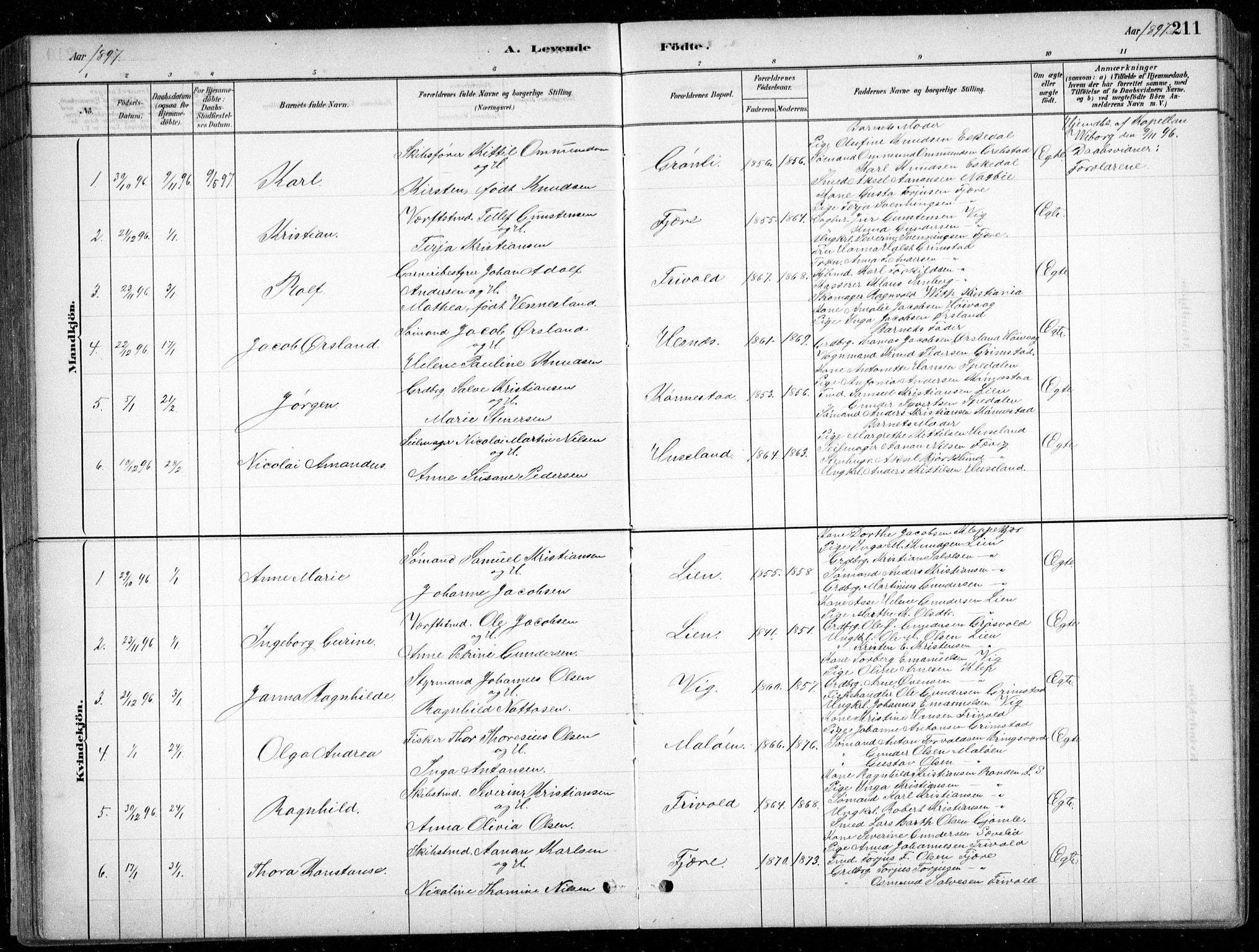 Fjære sokneprestkontor, SAK/1111-0011/F/Fb/L0011: Parish register (copy) no. B 11, 1881-1905, p. 211
