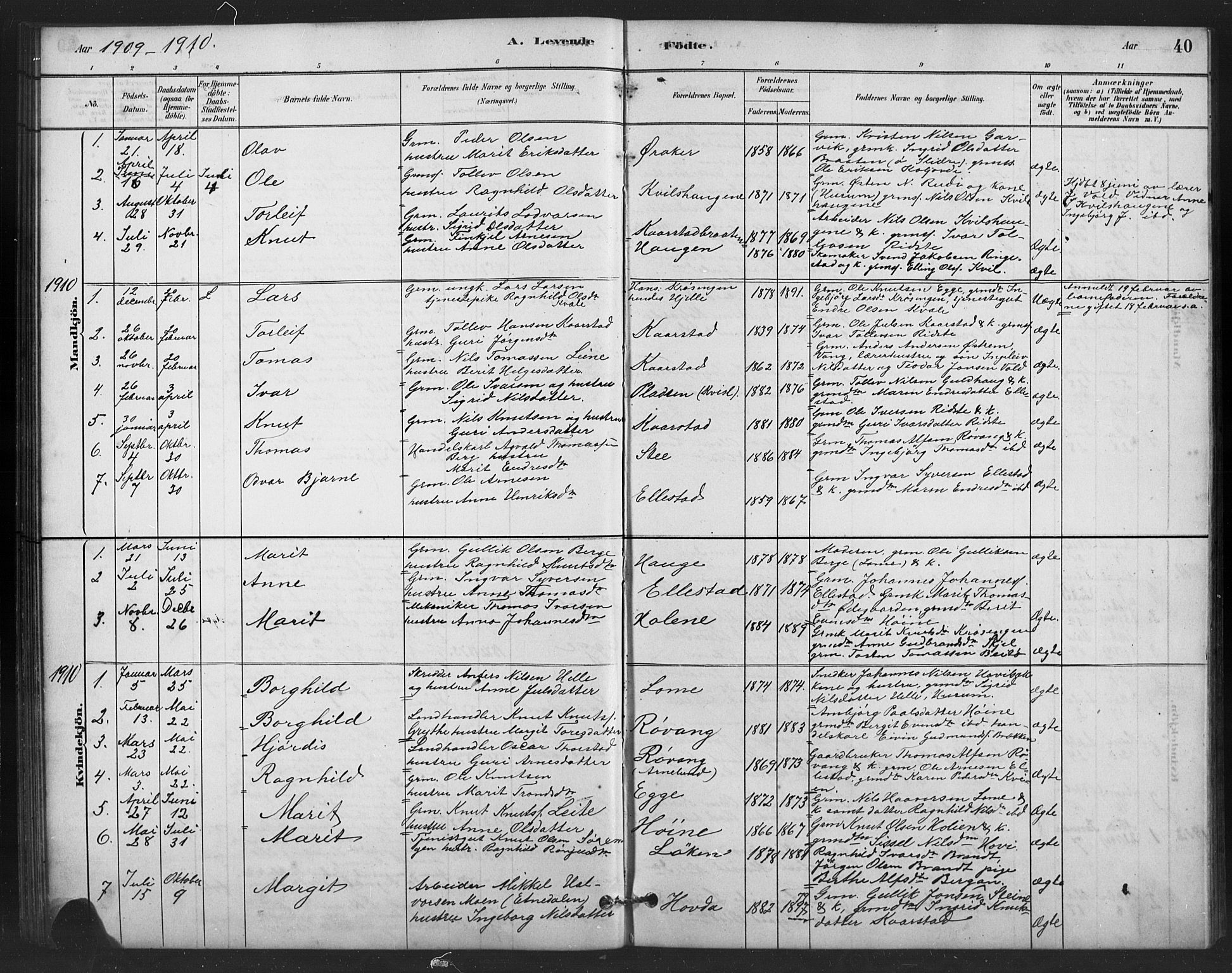 Vestre Slidre prestekontor, SAH/PREST-136/H/Ha/Hab/L0006: Parish register (copy) no. 6, 1881-1915, p. 40