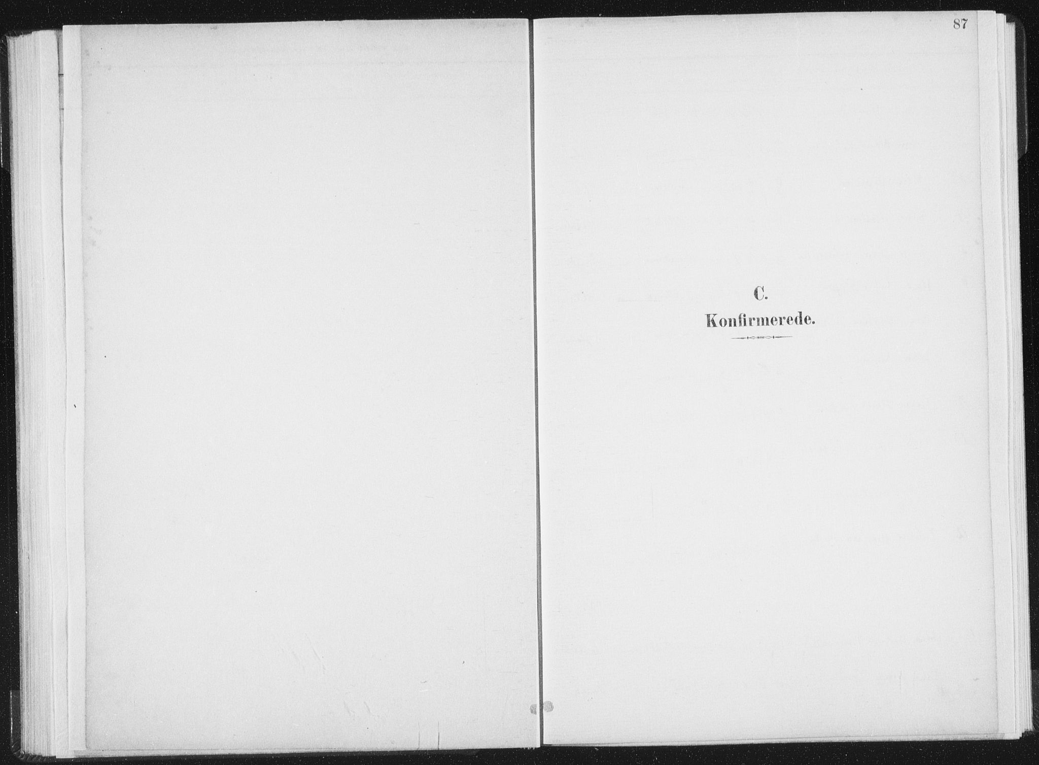 Ministerialprotokoller, klokkerbøker og fødselsregistre - Nord-Trøndelag, SAT/A-1458/771/L0597: Parish register (official) no. 771A04, 1885-1910, p. 87