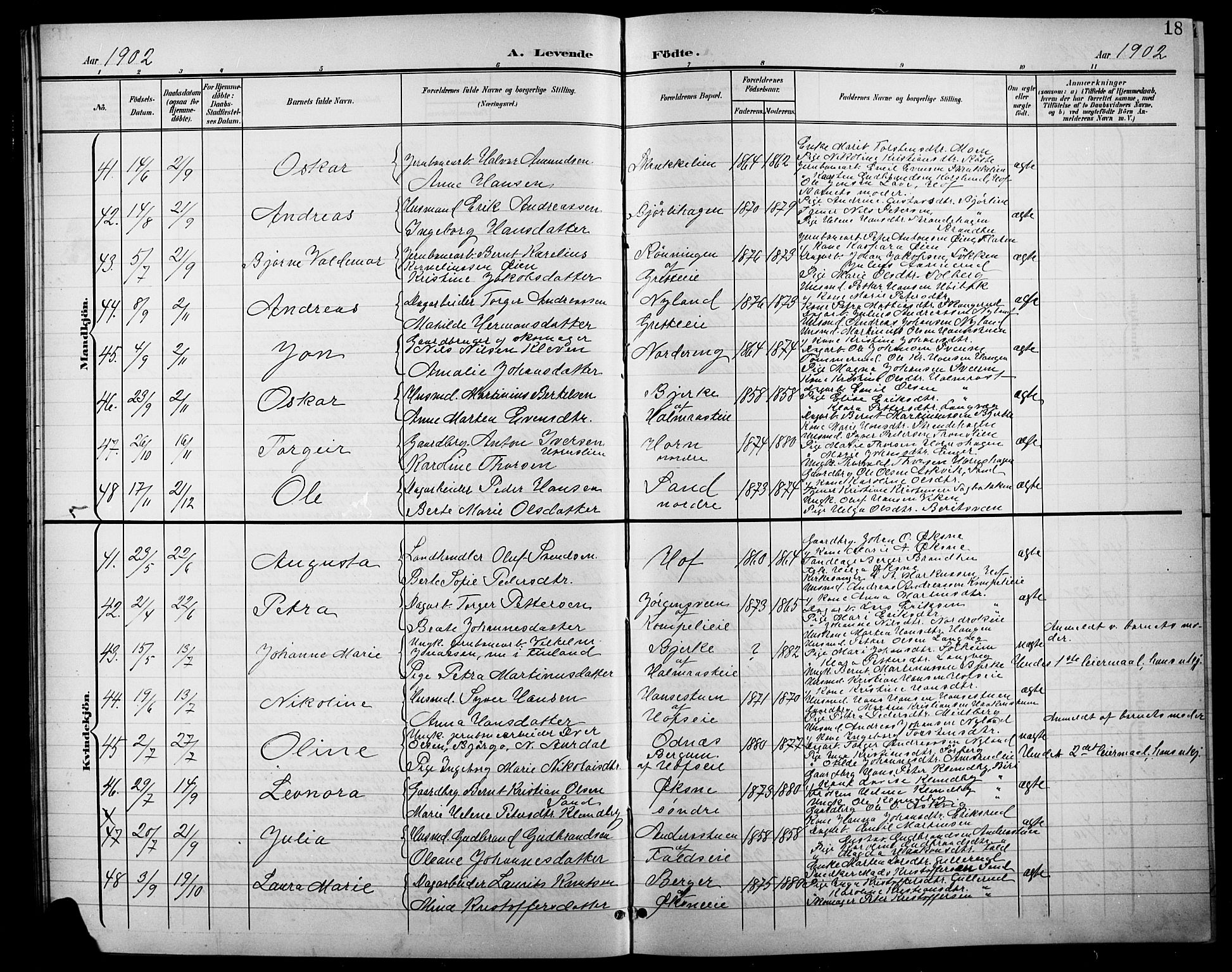 Søndre Land prestekontor, AV/SAH-PREST-122/L/L0004: Parish register (copy) no. 4, 1901-1915, p. 18