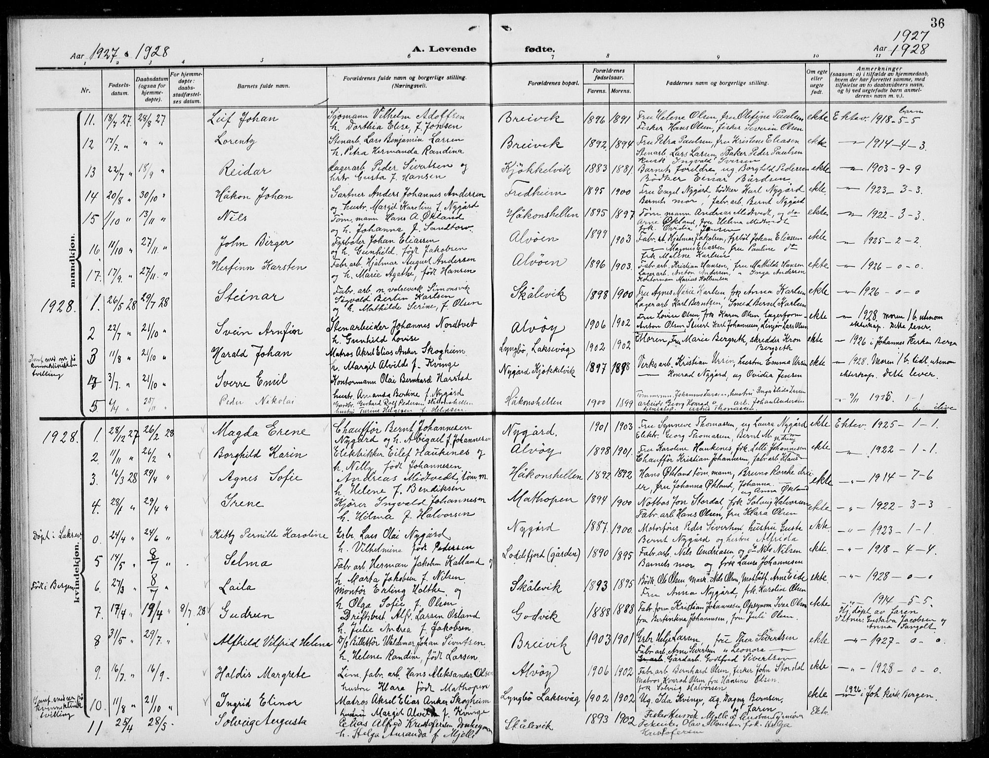 Loddefjord  sokneprestembete, AV/SAB-A-99928: Parish register (copy) no. A  1, 1915-1934, p. 36