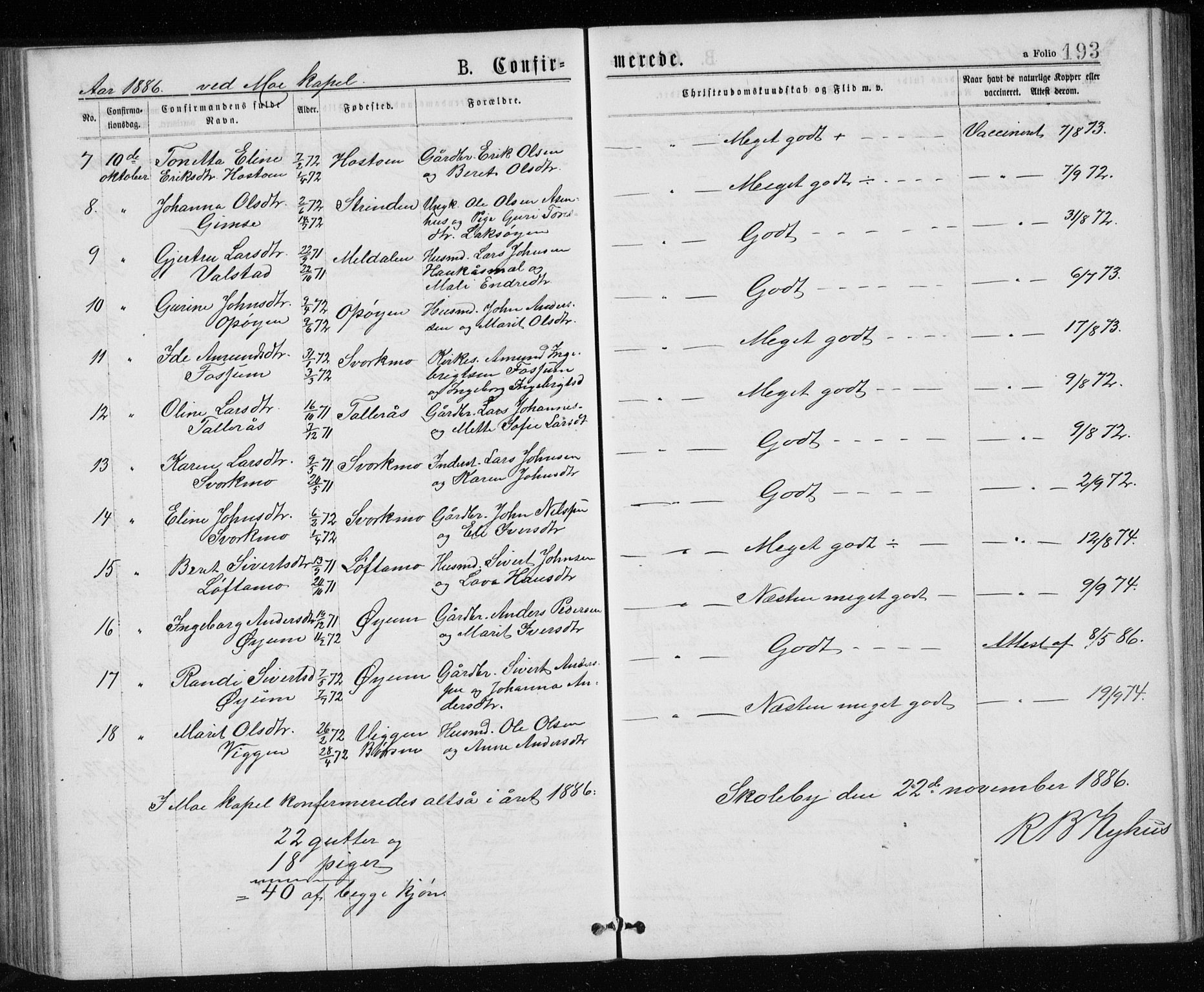 Ministerialprotokoller, klokkerbøker og fødselsregistre - Sør-Trøndelag, SAT/A-1456/671/L0843: Parish register (copy) no. 671C02, 1873-1892, p. 193