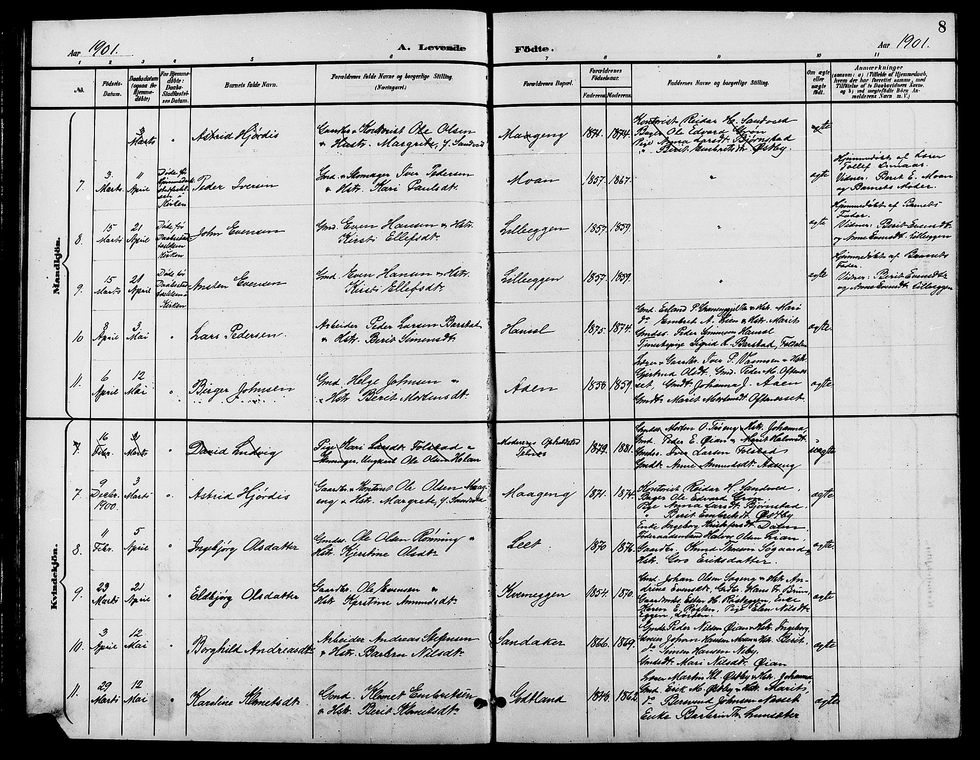 Tynset prestekontor, AV/SAH-PREST-058/H/Ha/Hab/L0009: Parish register (copy) no. 9, 1900-1914, p. 8