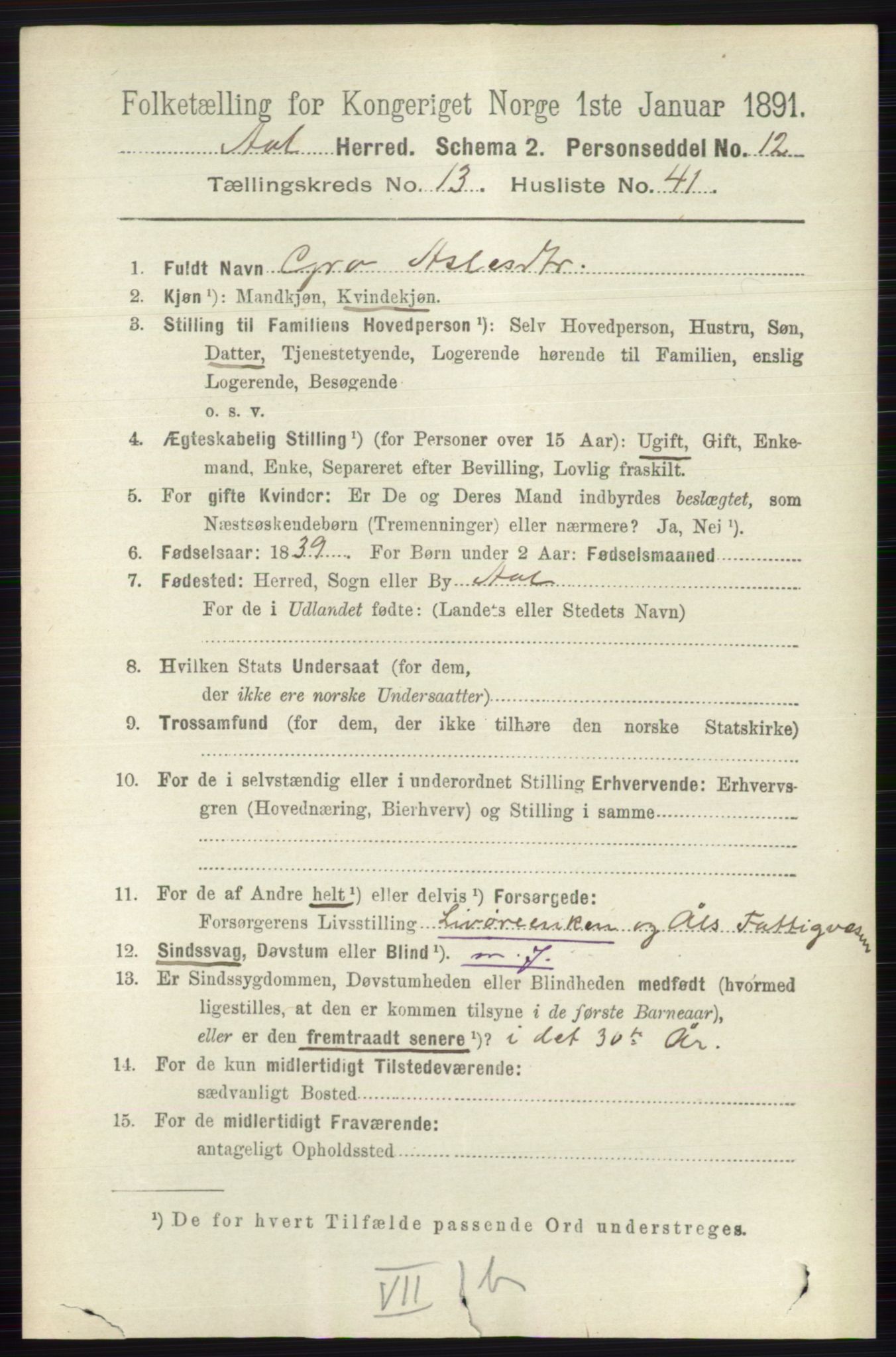 RA, 1891 census for 0619 Ål, 1891, p. 3493