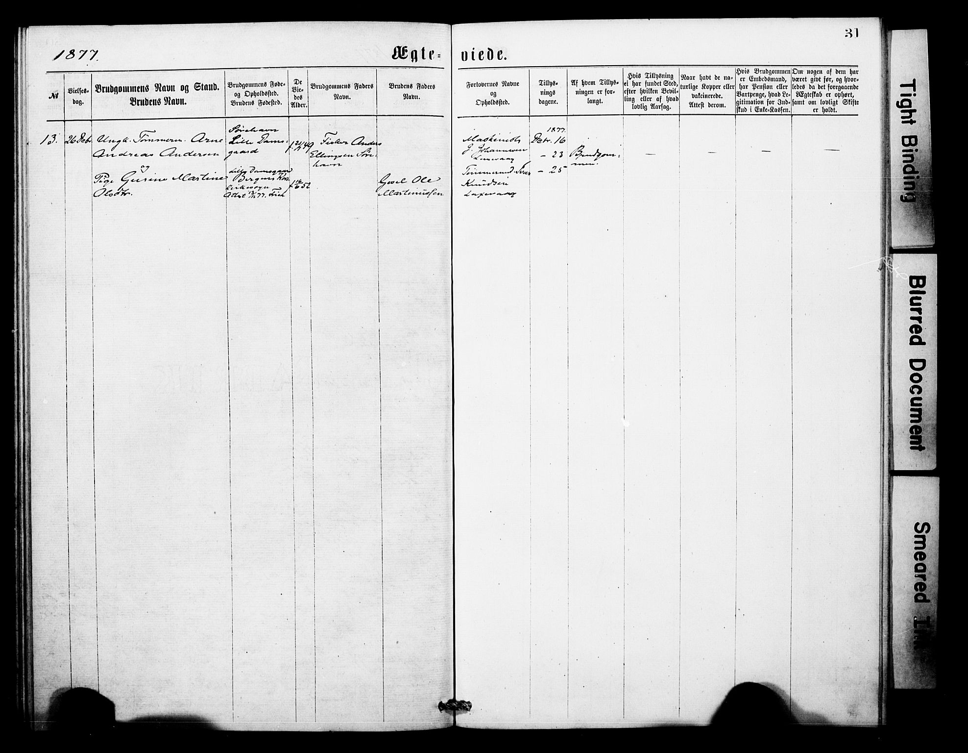 Askøy Sokneprestembete, SAB/A-74101/H/Ha/Haa/Haae/L0001: Parish register (official) no. E 1, 1875-1877, p. 31